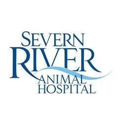 Severn River Animal Hospital Severna Park