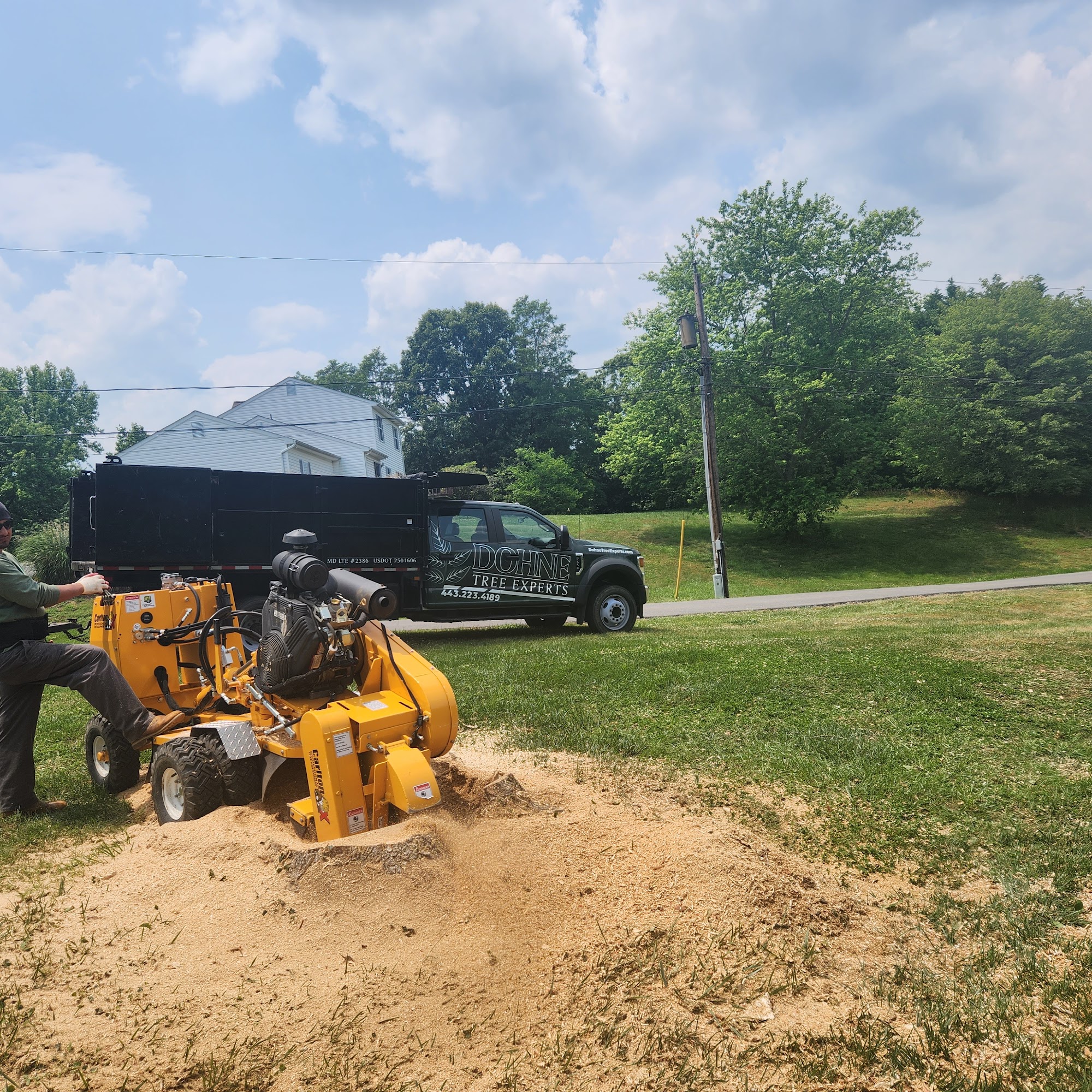 Dohne Tree Experts