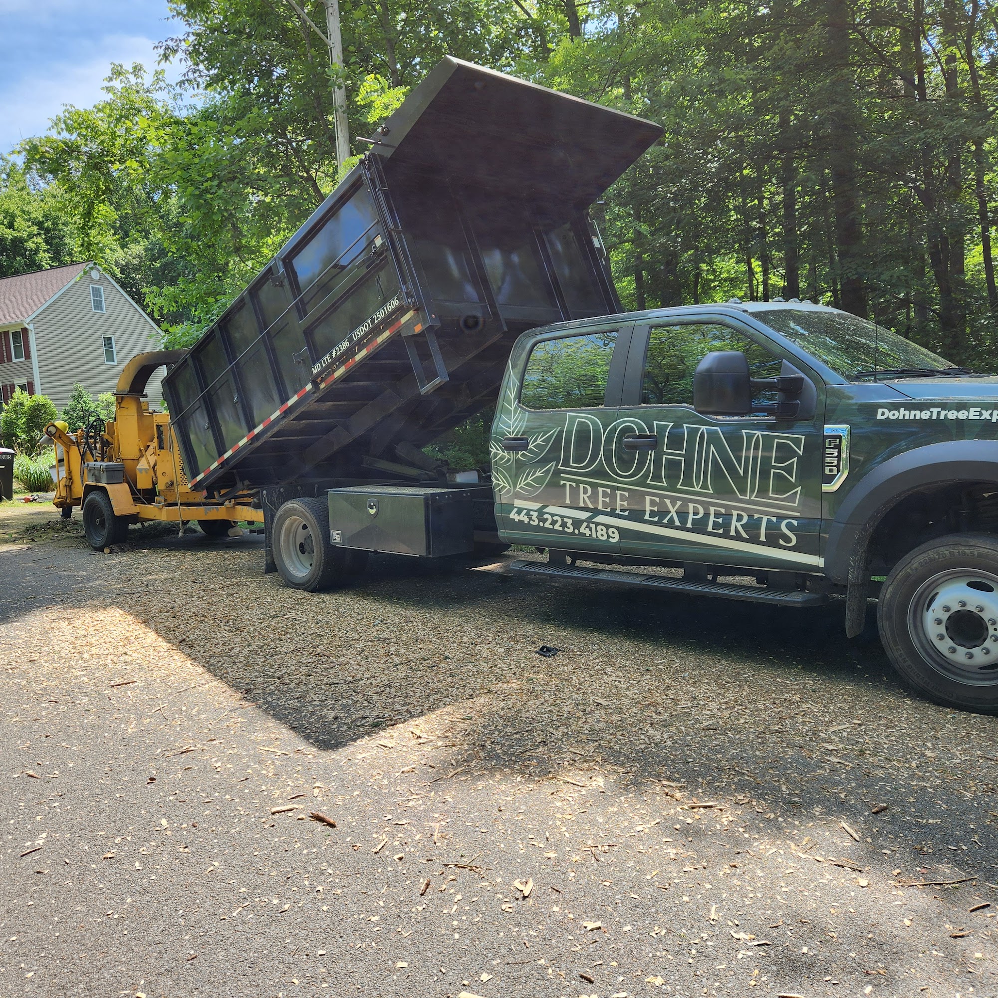 Dohne Tree Experts