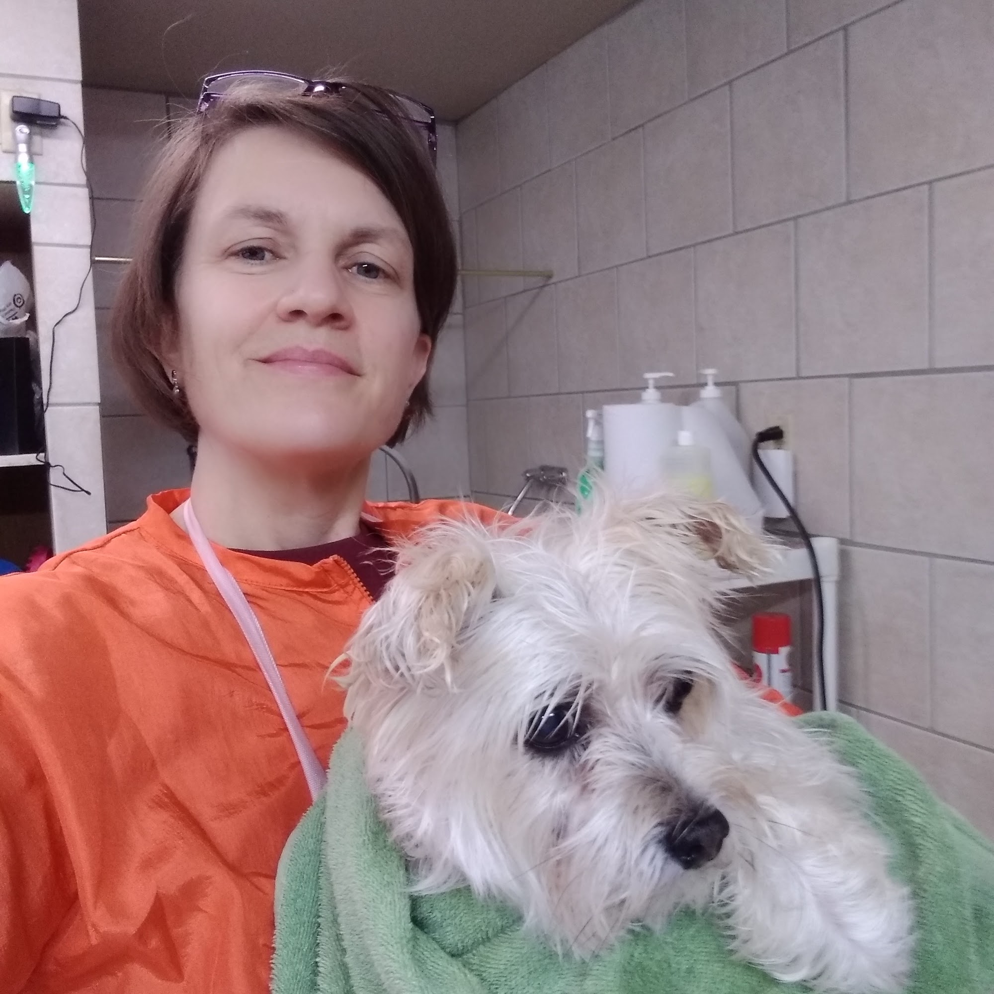 Hot Dogs Dog Grooming Sharpsburg