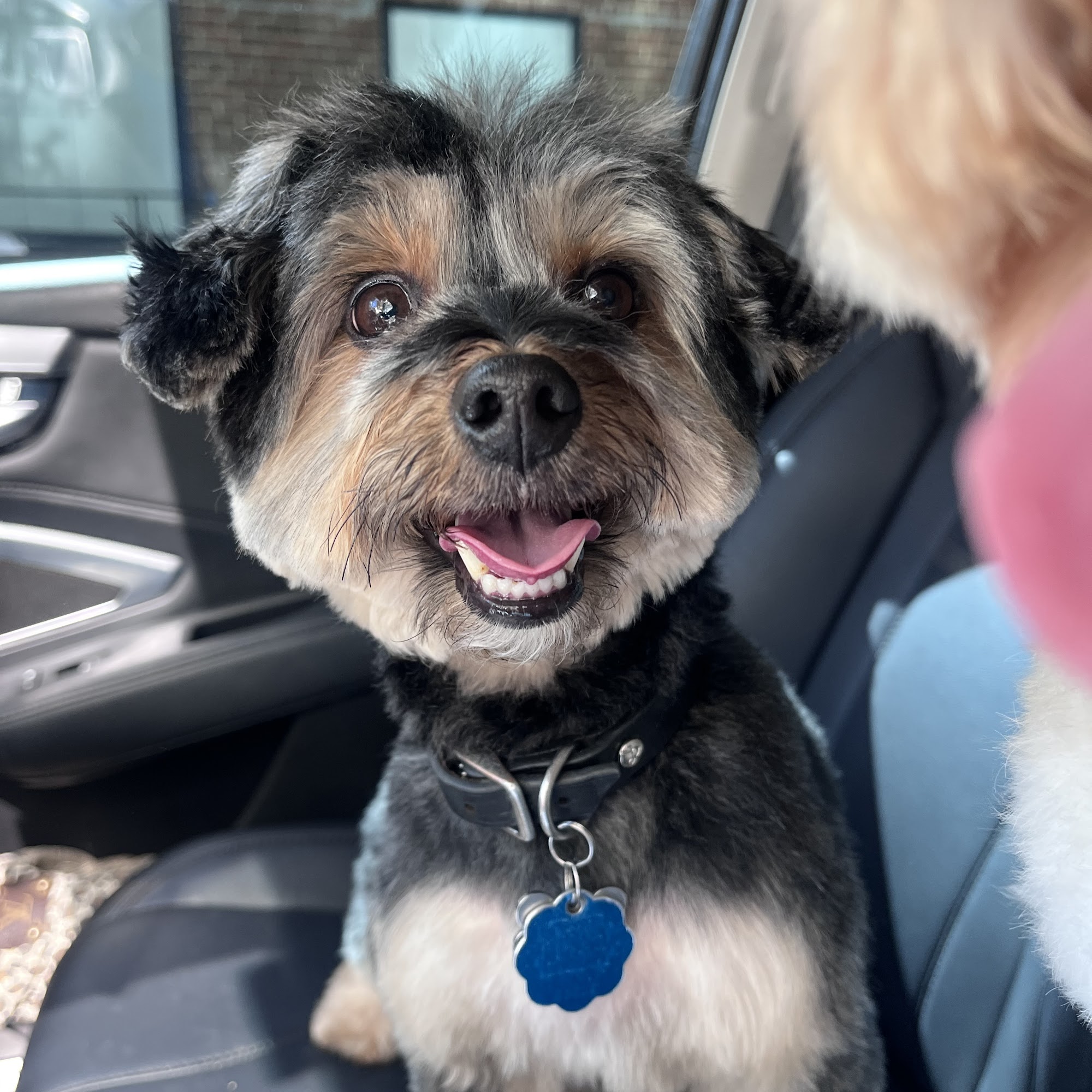 GROOM! Salon Silver Spring