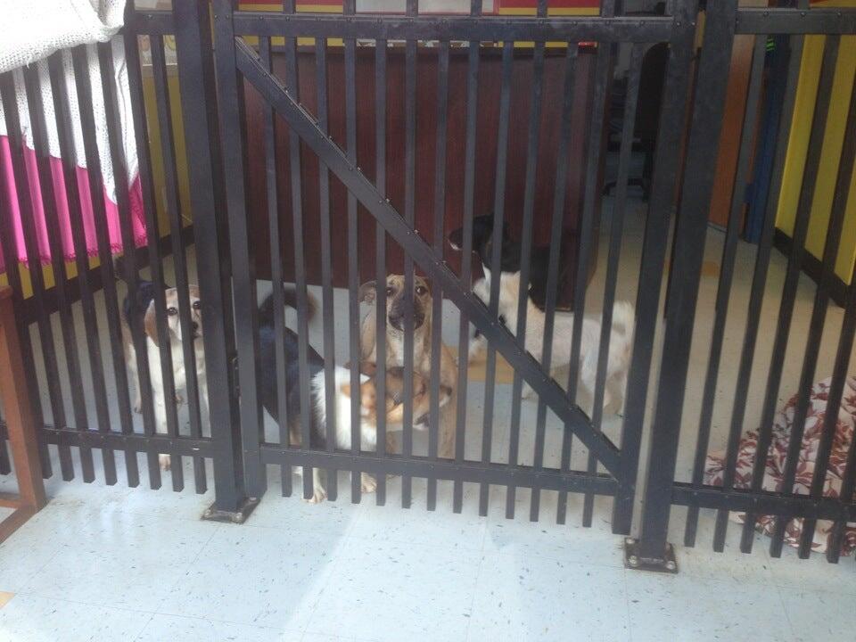 Photo credit: nextdoor