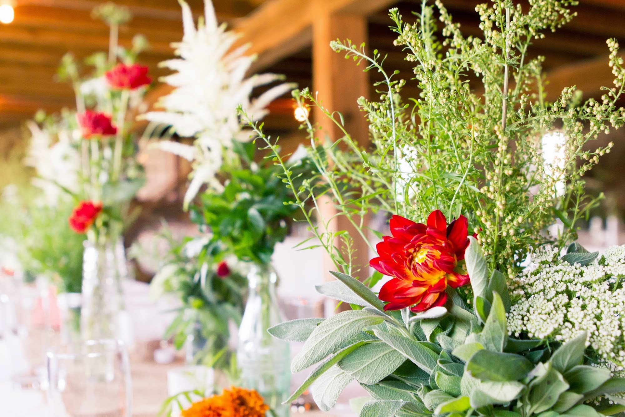 Green Plate Catering Menu