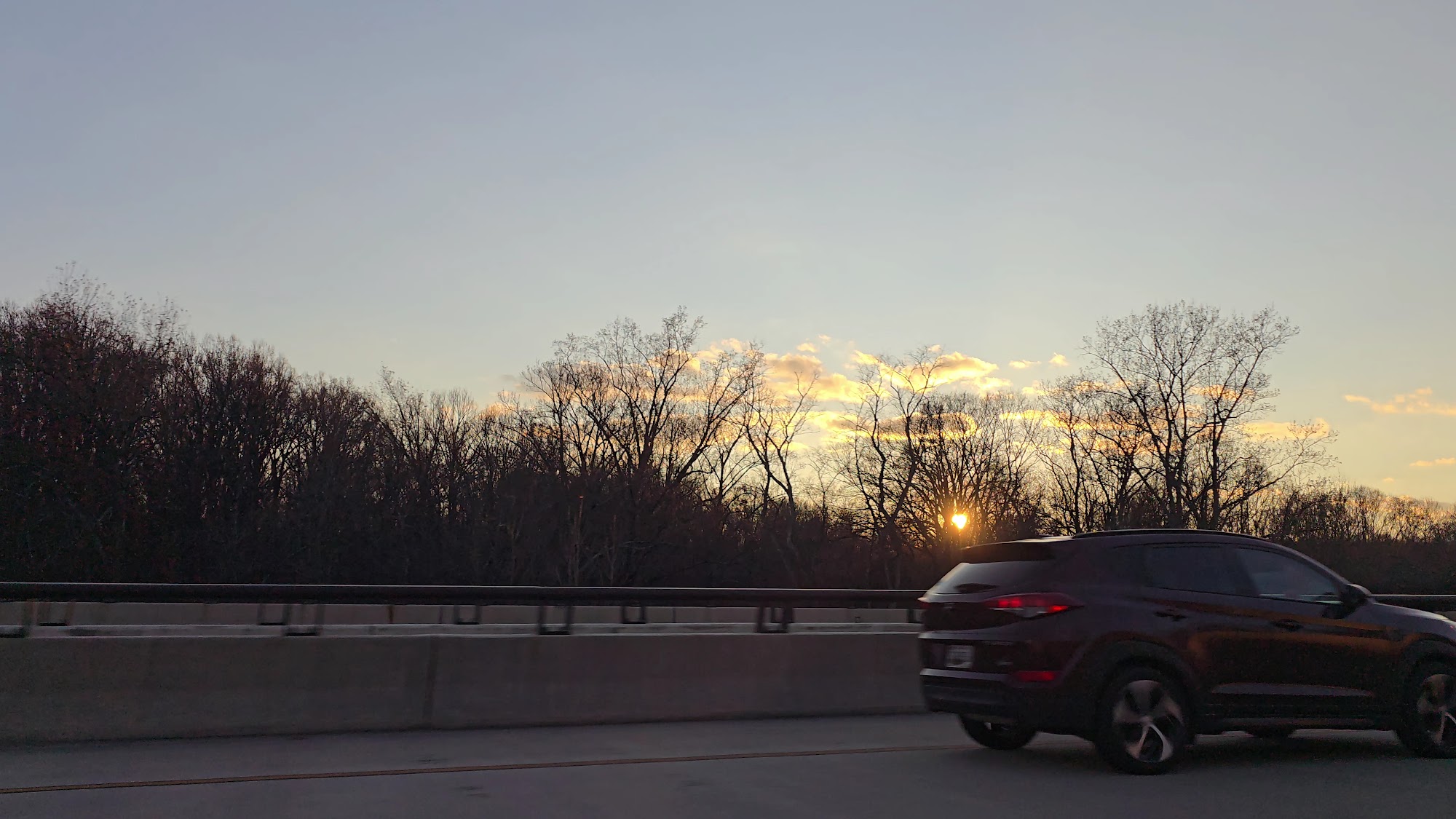 Artistic Tree Experts