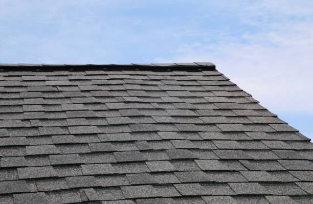 Martin Roofing