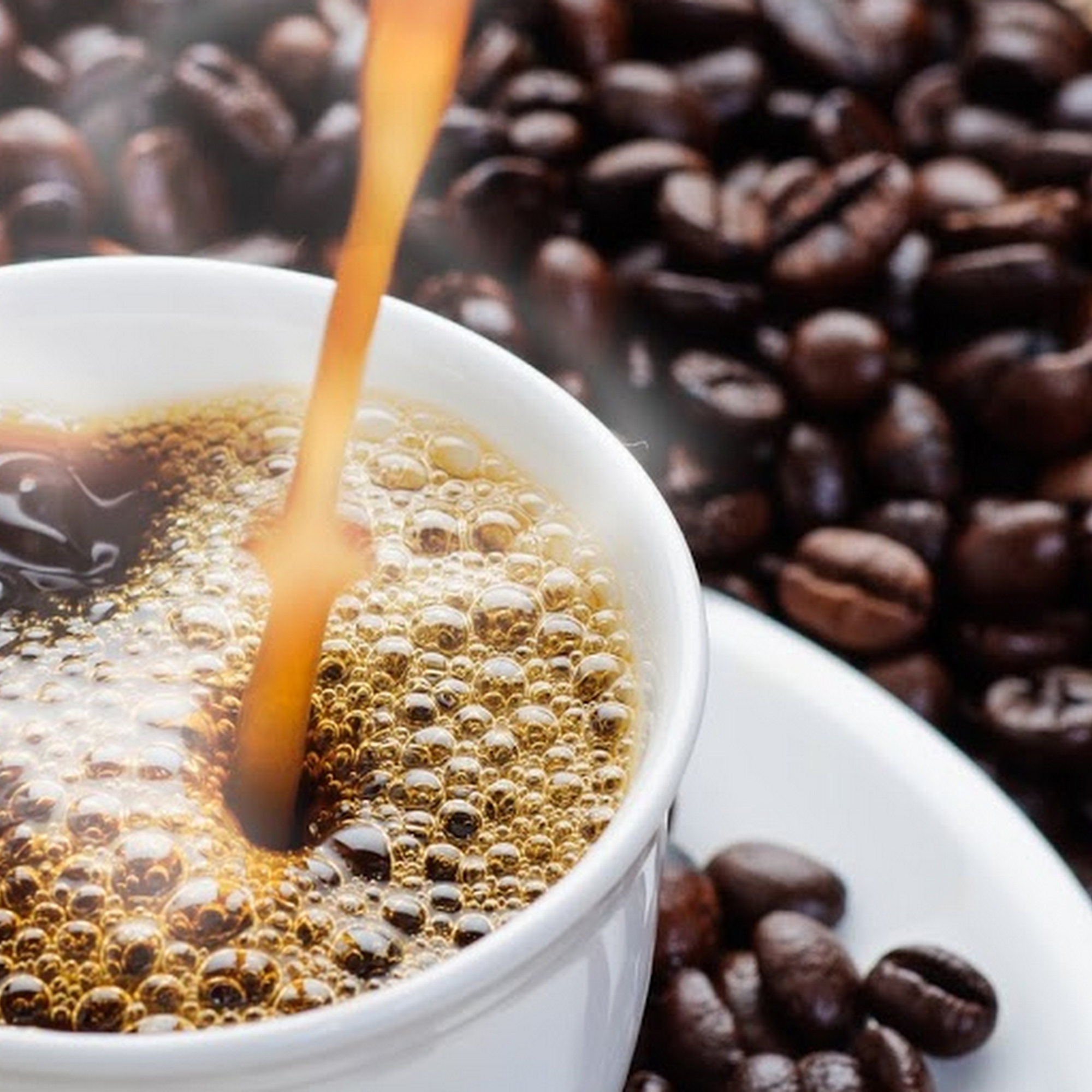 Santa Lucia Estate Coffee Silver Spring