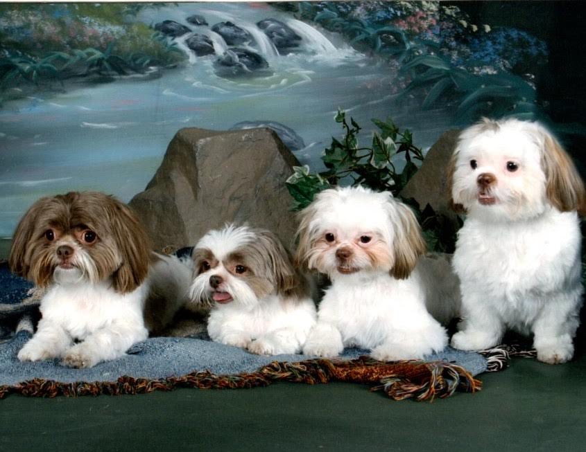 Smithsburg Veterinary Clinic Smithsburg