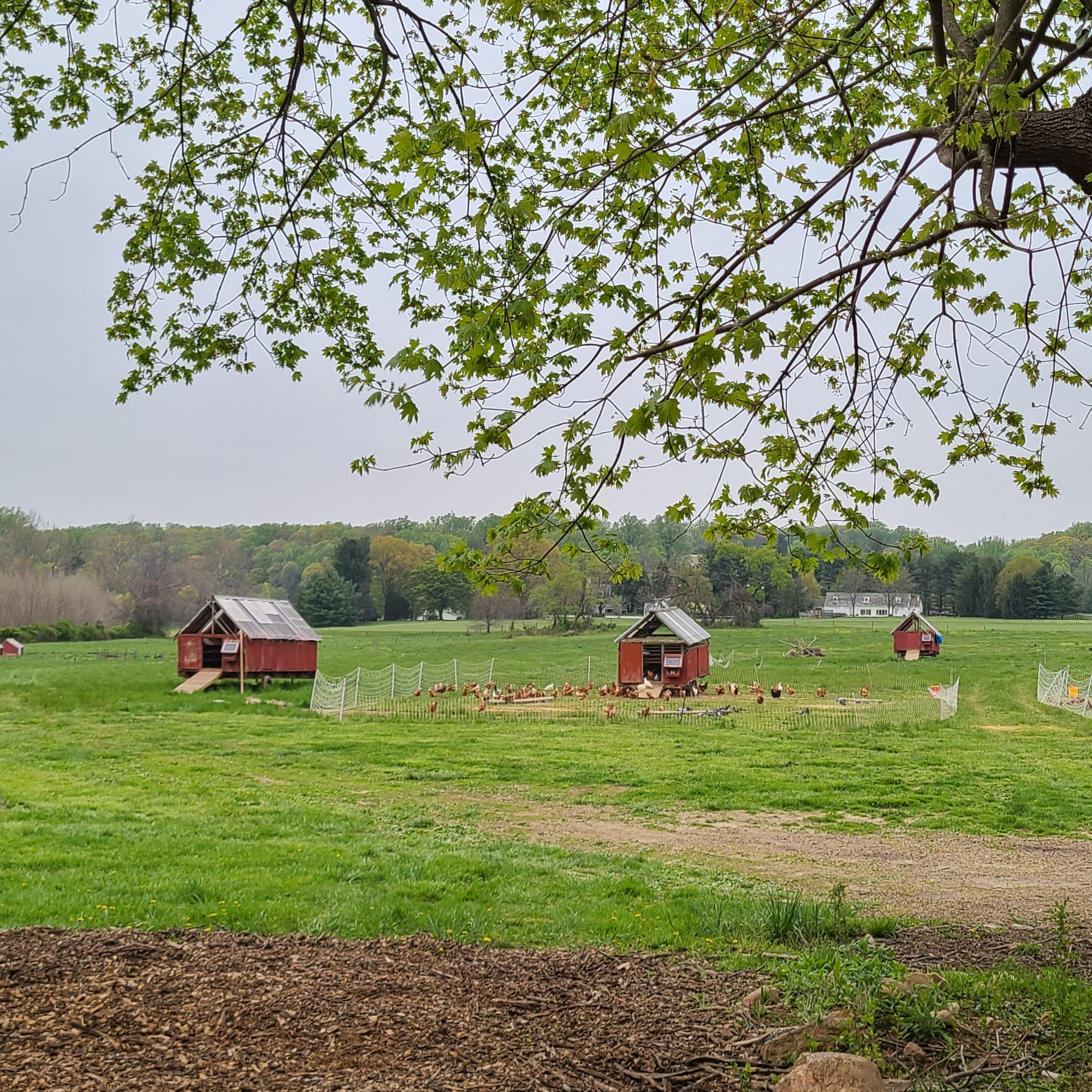 Carriage House Farms Stevenson