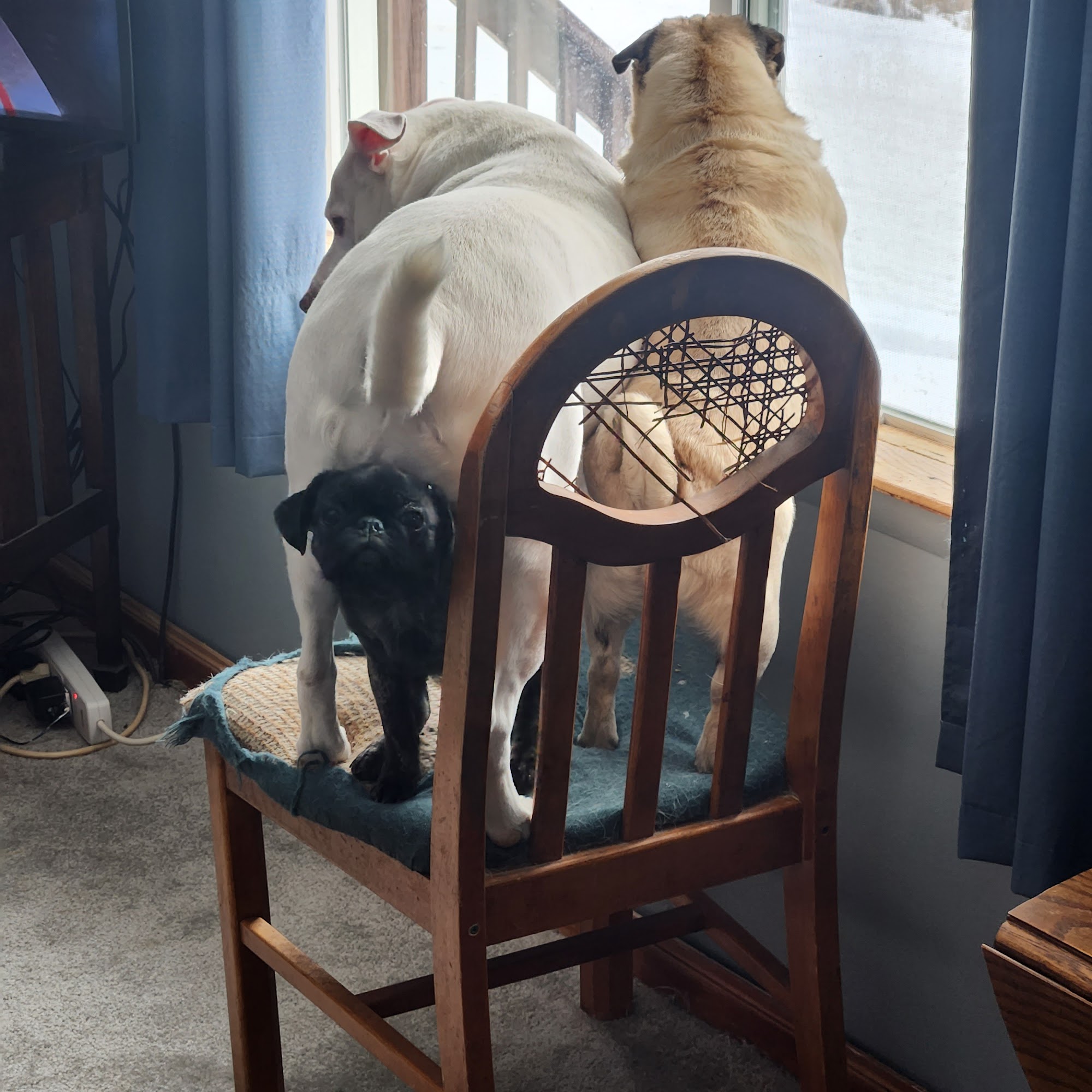 Powertrain Products Inc Stevensville