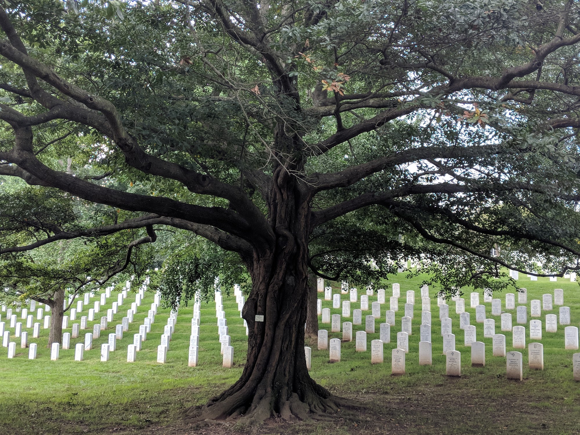 Washington National Cemetery Suitland