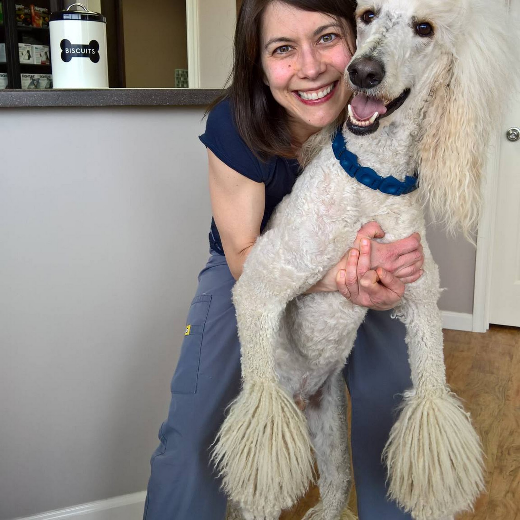 South Carroll Veterinary Hospital Sykesville