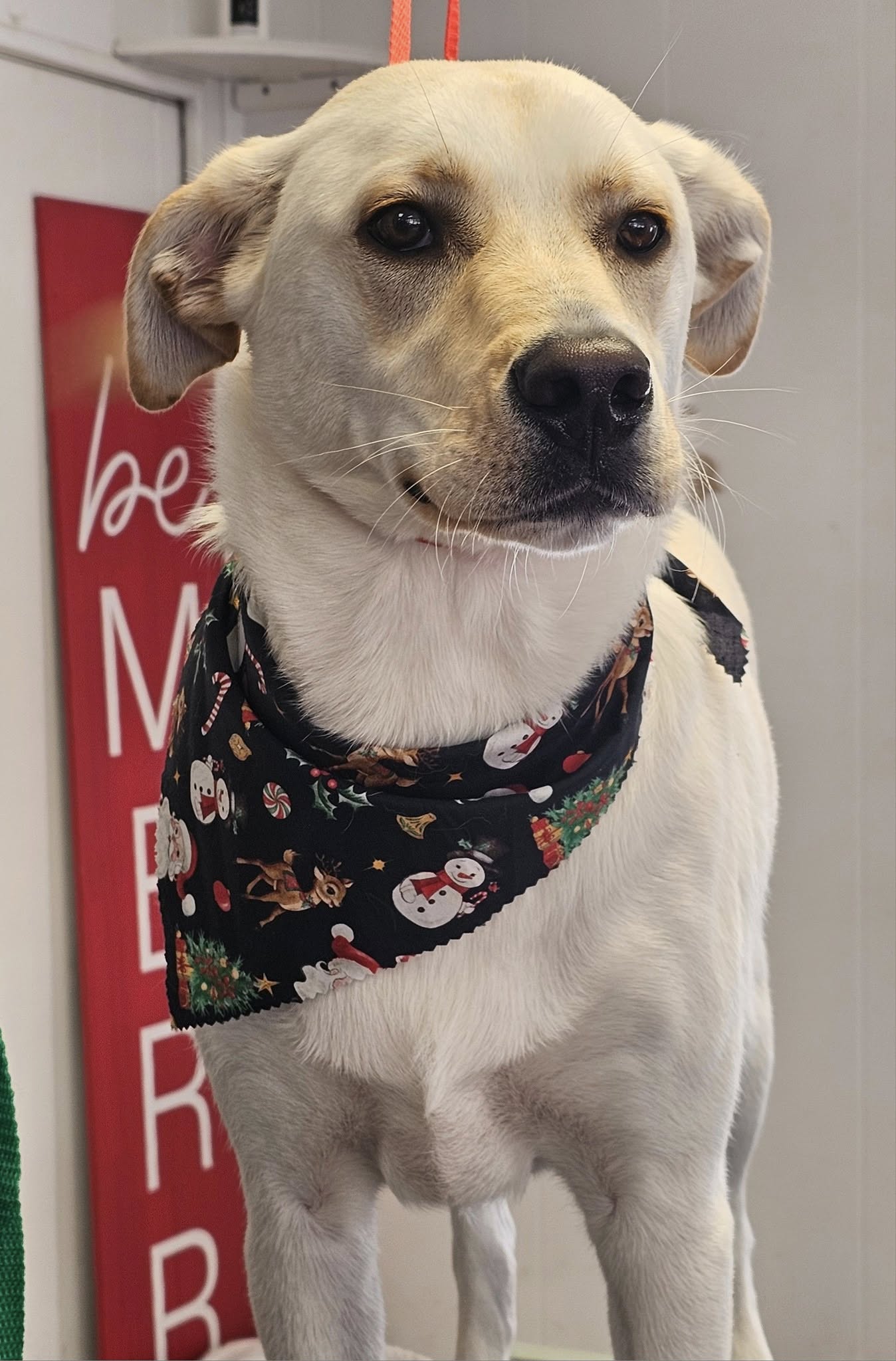 Buddy's Place LLC Taneytown