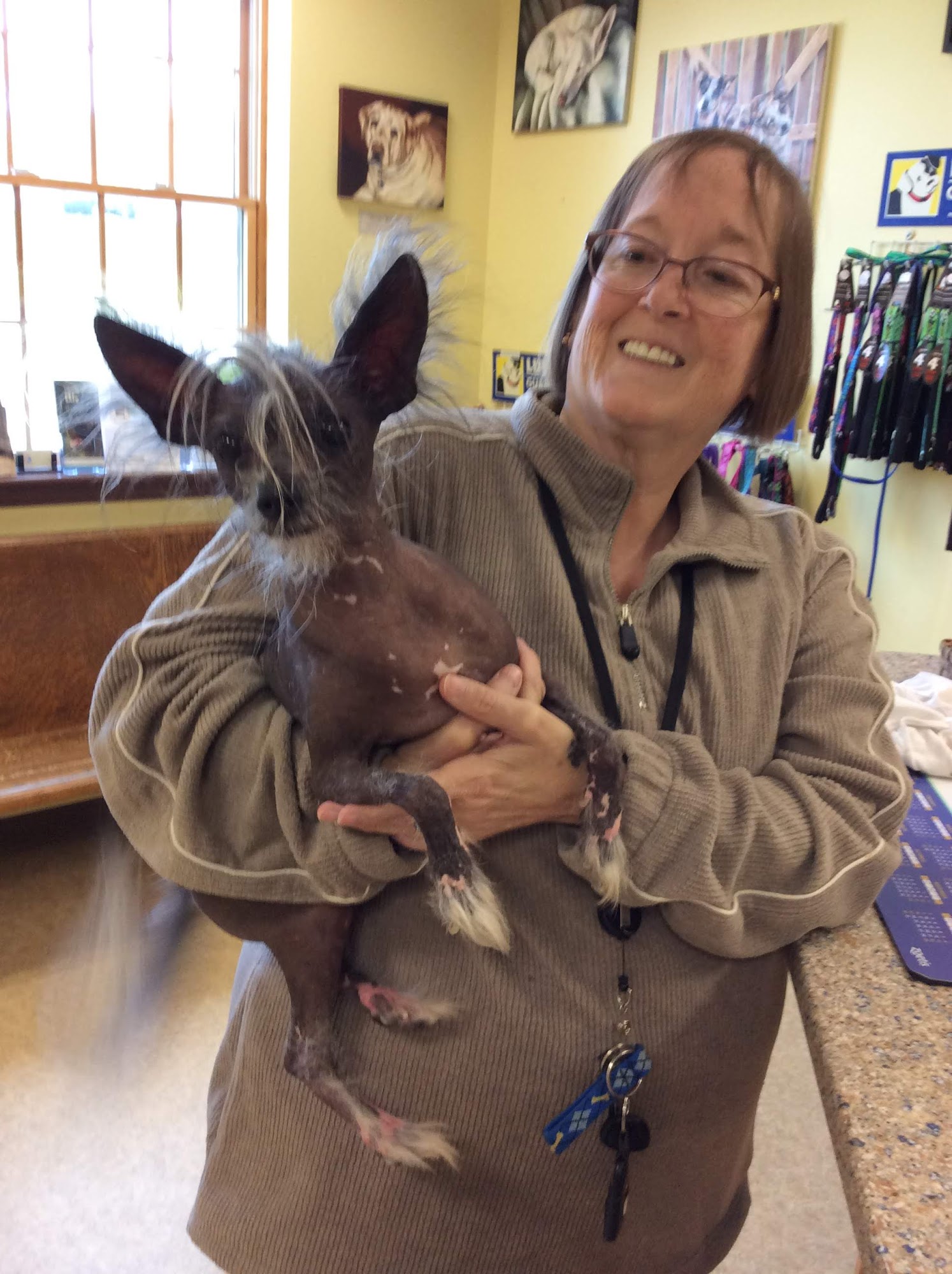 Catoctin Veterinary Clinic Thurmont