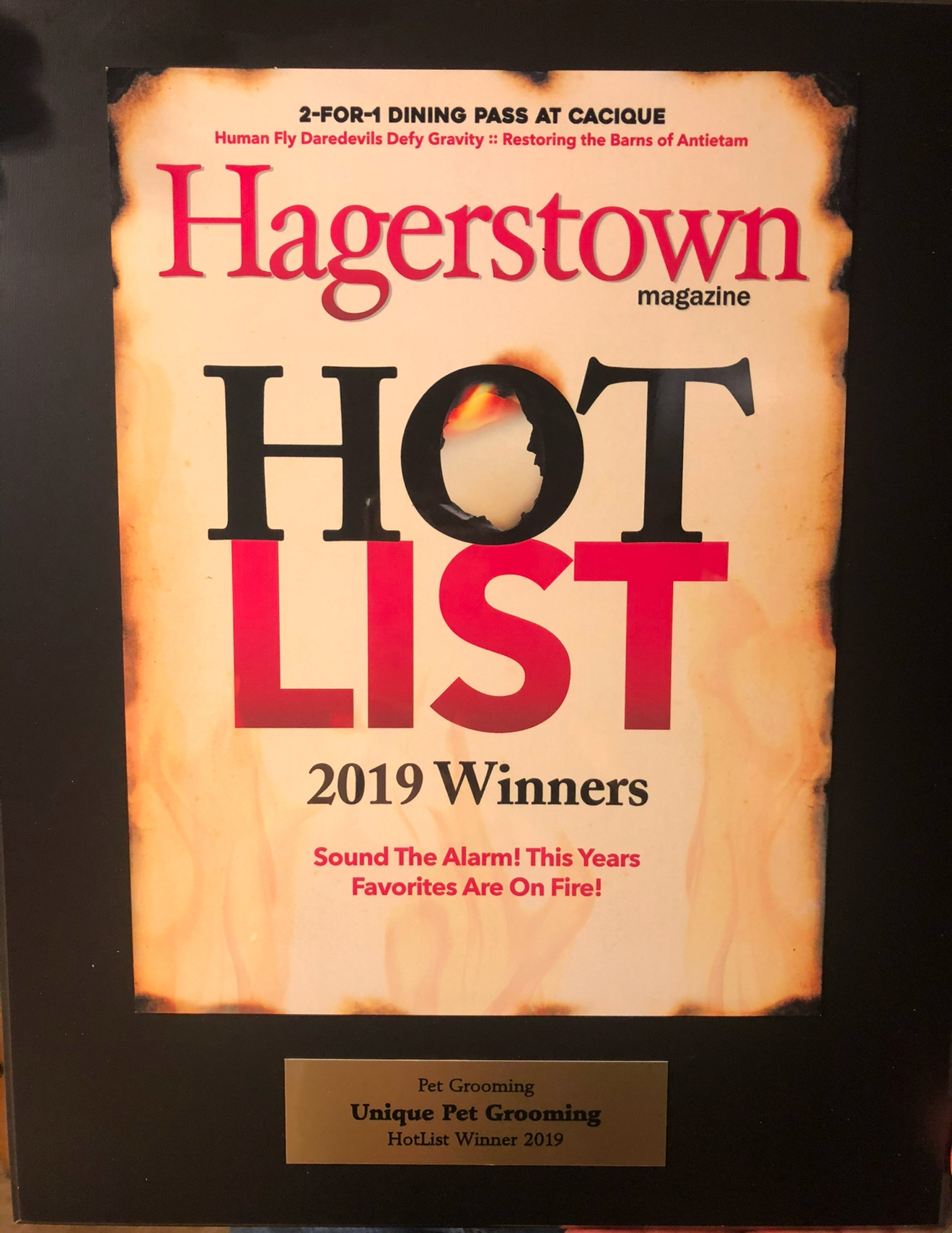 UNIQUE PET GROOMING Thurmont