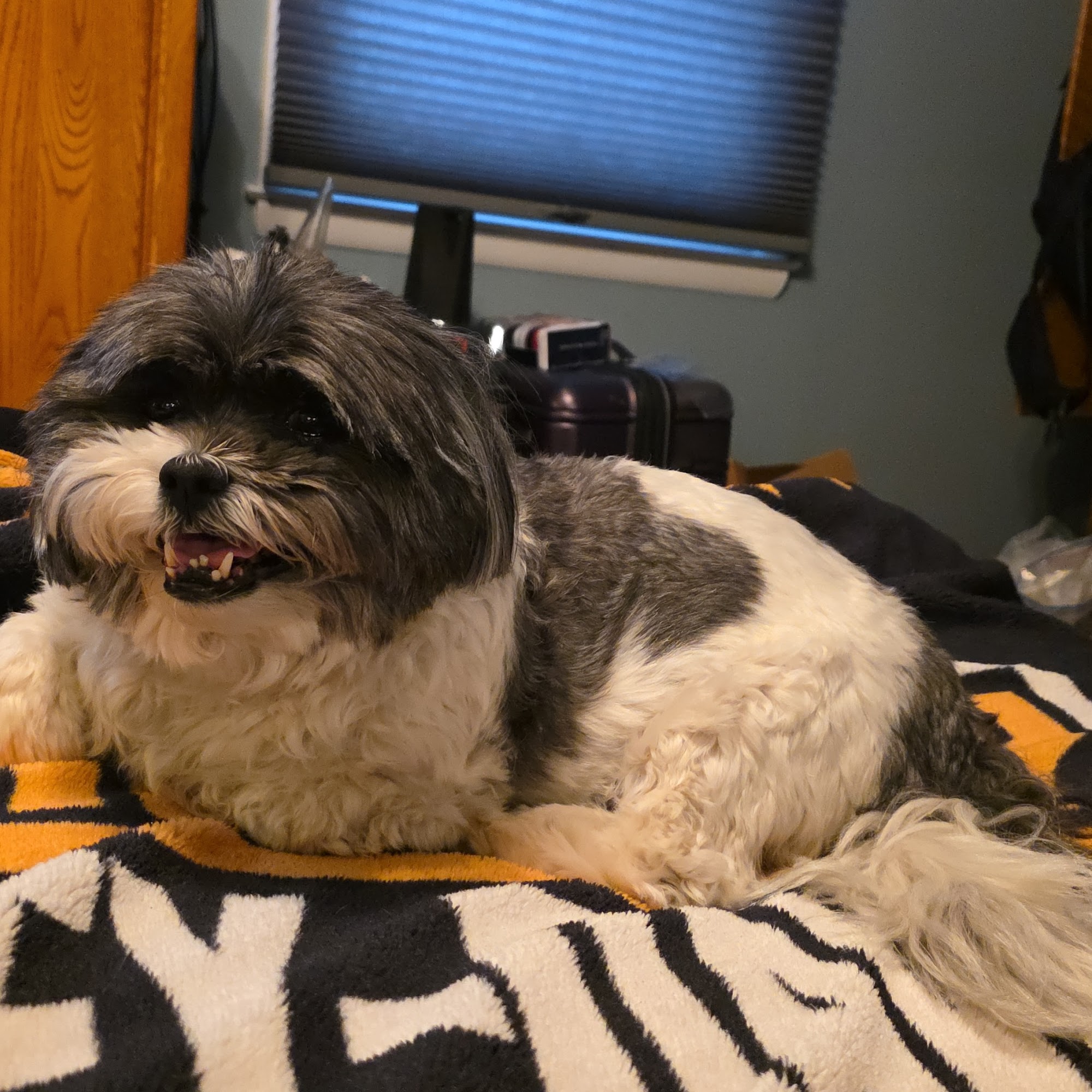 Animal Medical Clinic-Dulany Timonium