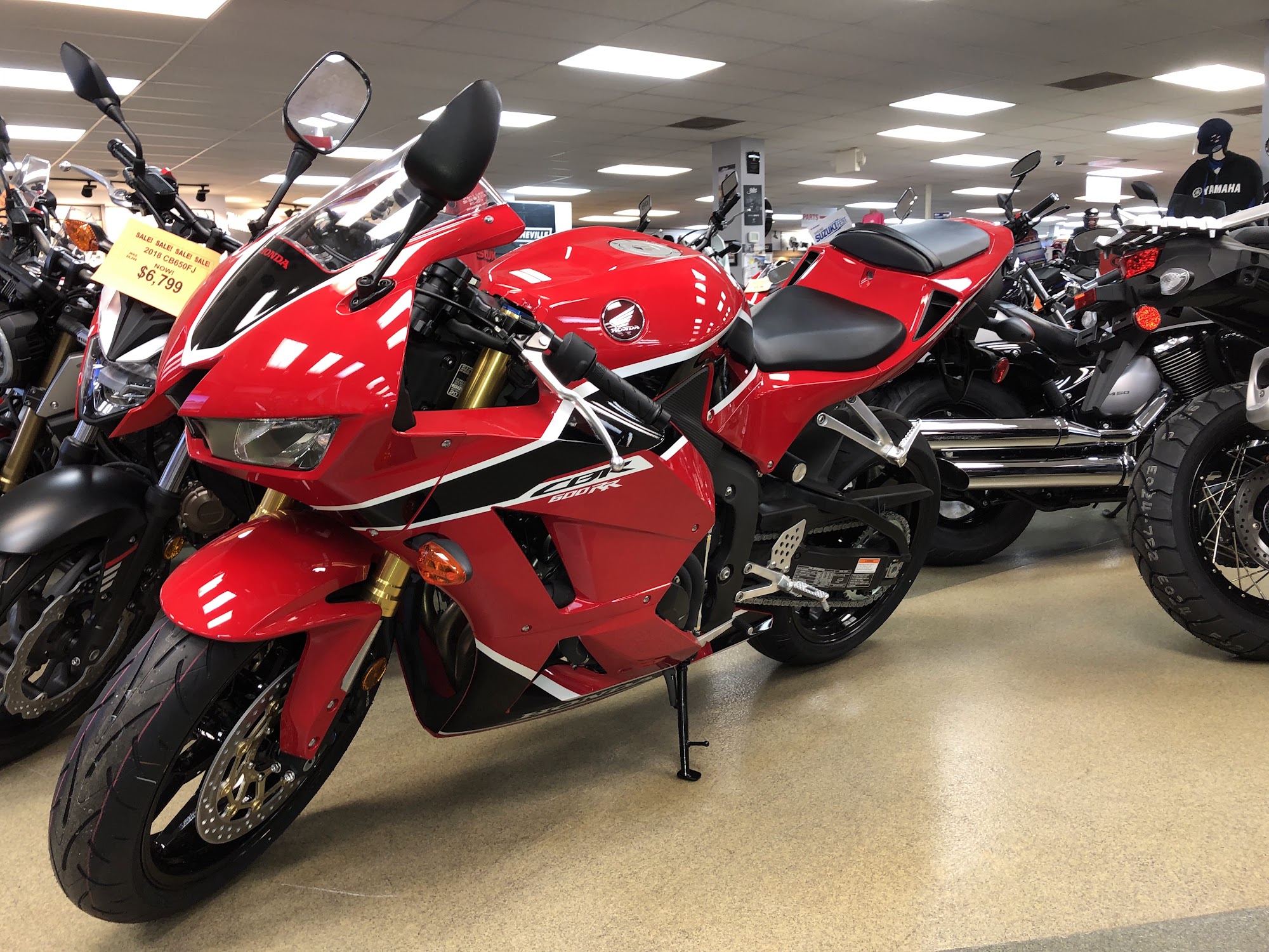 Snazzy Jazzy's Pet Salon Timonium Timonium