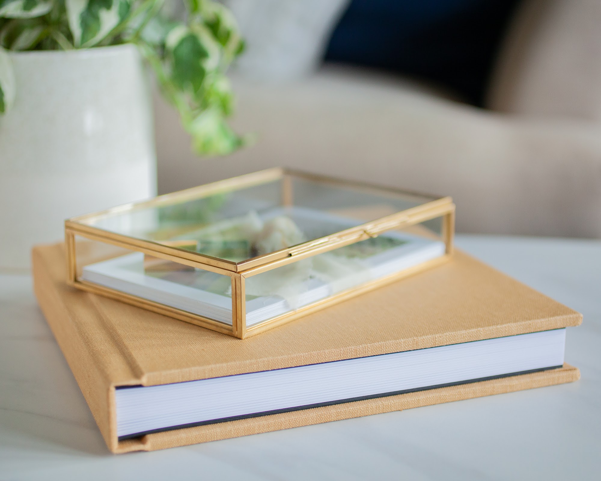 Maria Ortiz Photography