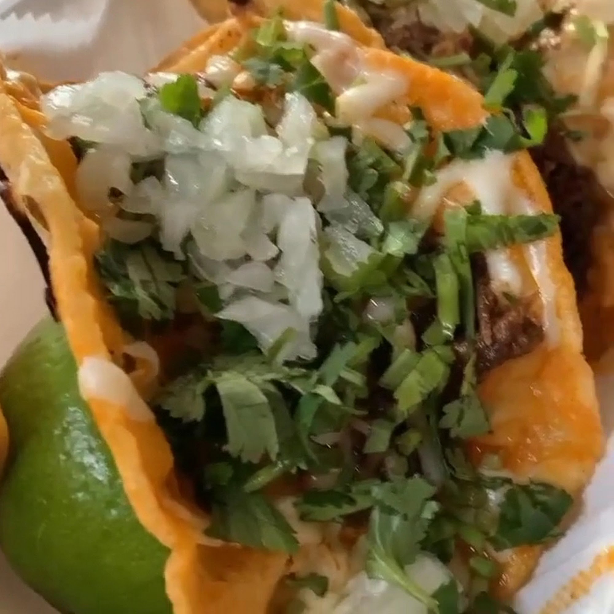 El Taquito Leon 1 Towson