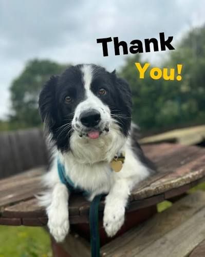 Ruxton Animal Hospital Towson