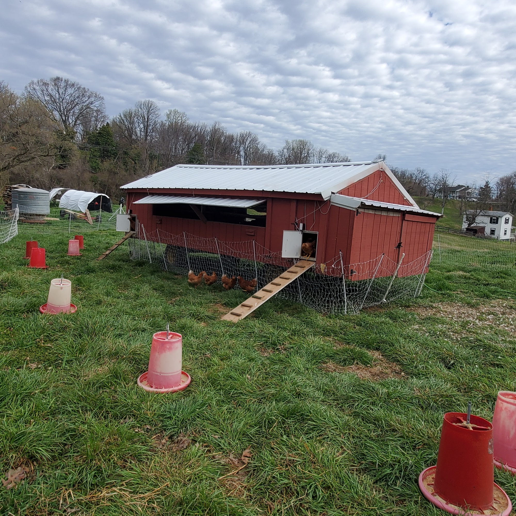 Morris Hill Farm LLC Tracys Landing