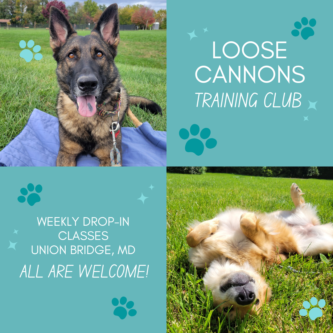 Canine Lifestyle Academy Union Bridge