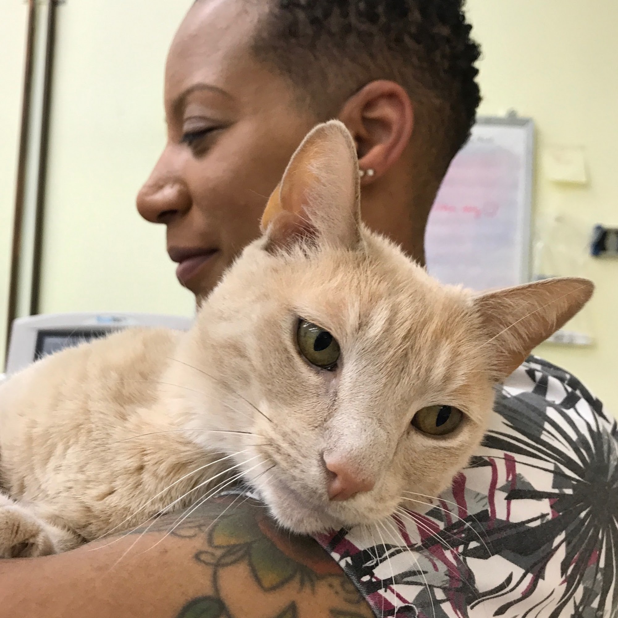 Animal Medical Center of Watkins Park Upper Marlboro