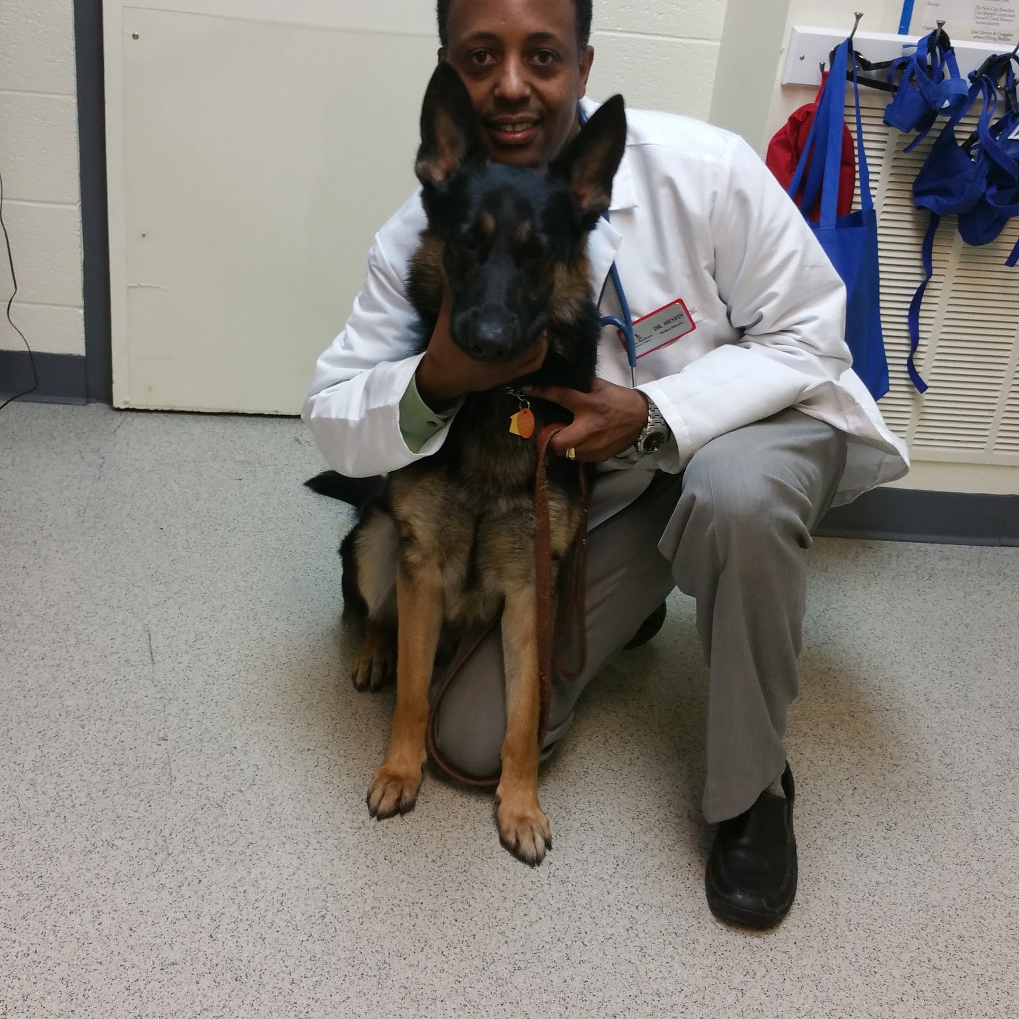 Upper Marlboro Veterinary Hospital Upper Marlboro