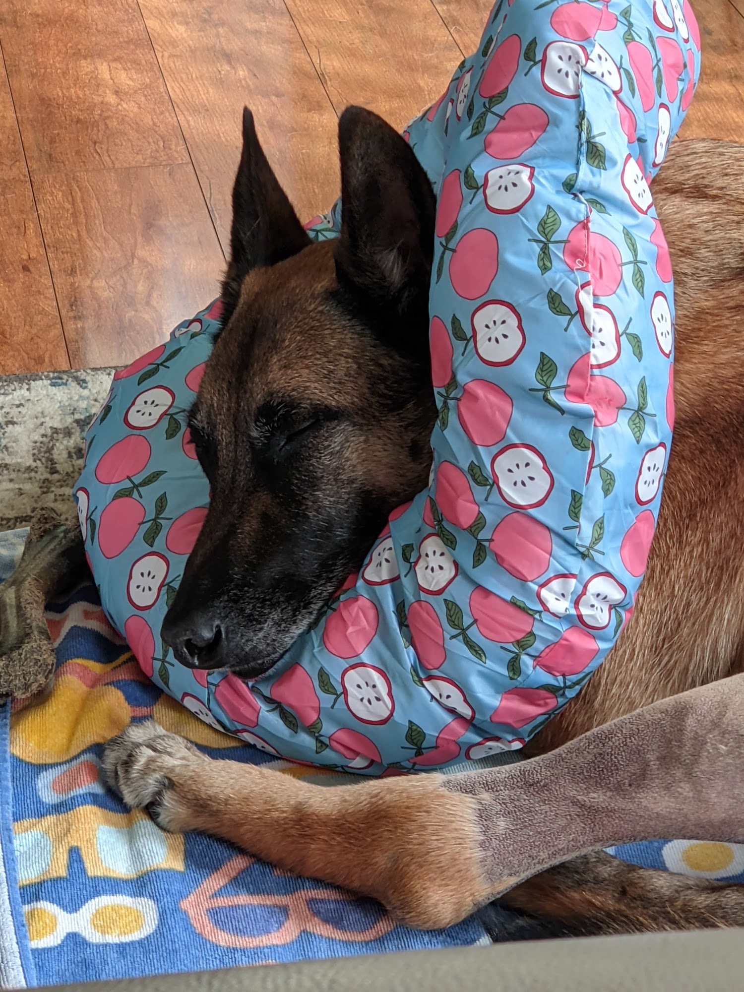 Airpark Animal Hospital Ltd Westminster