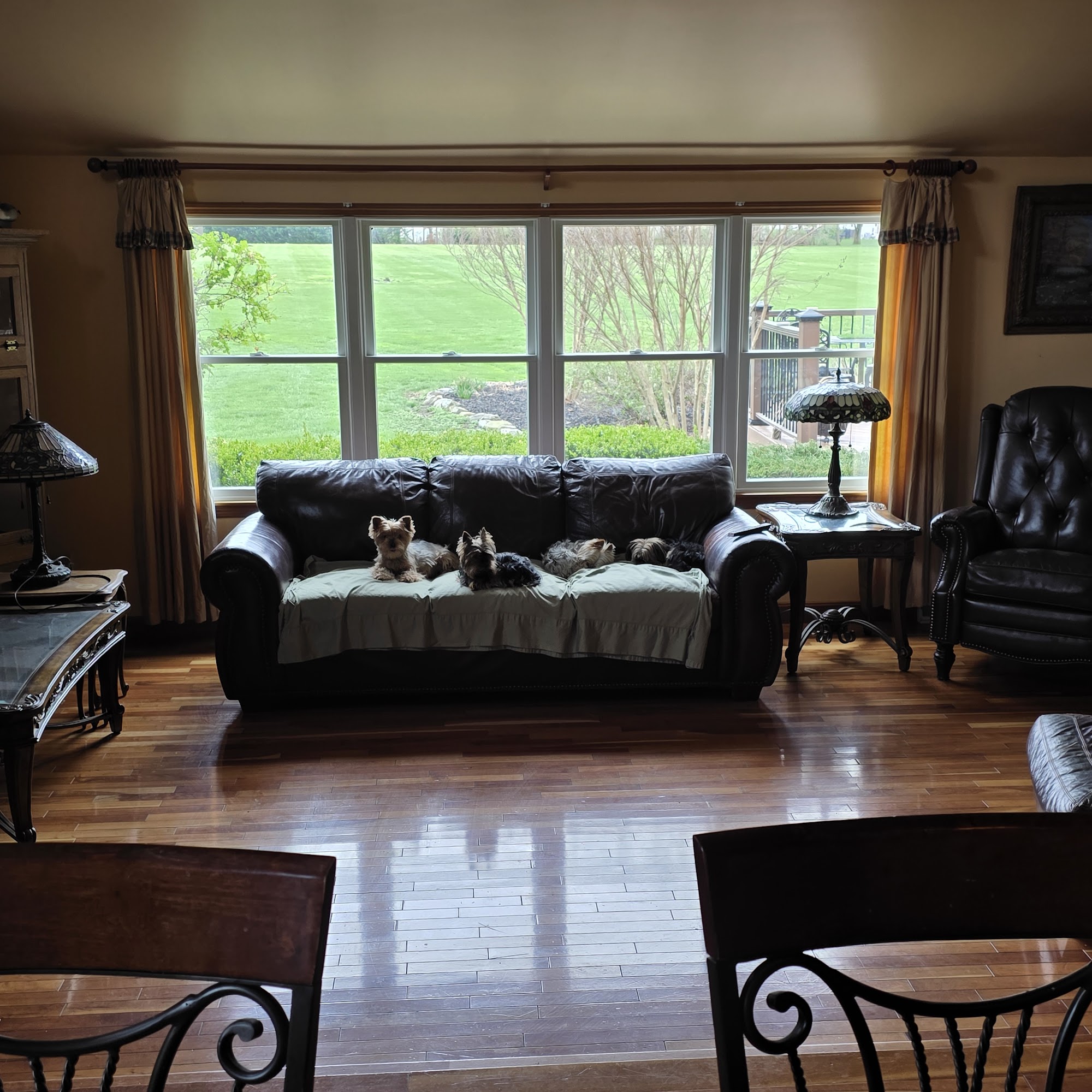 Shawsville Veterinary Hospital White Hall