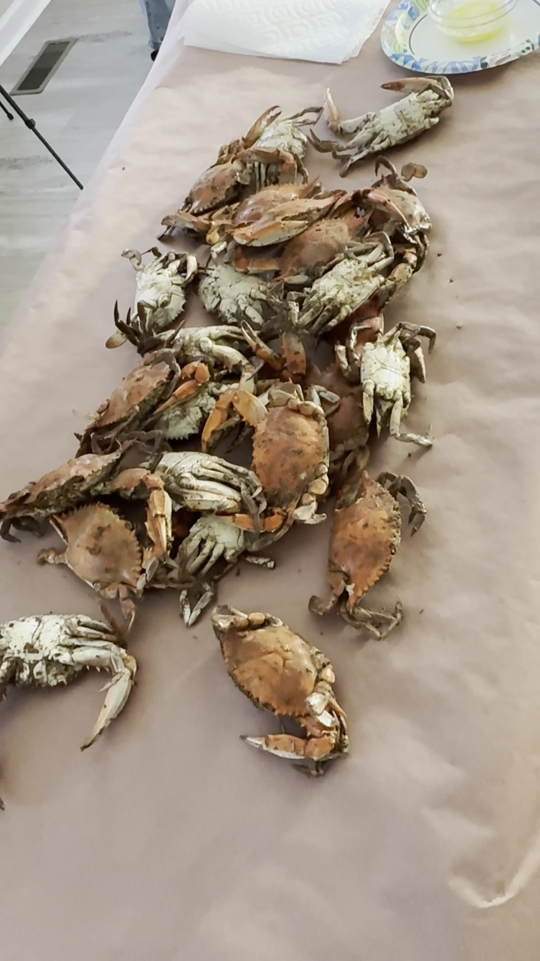 Captain Mo's Seafood Menu