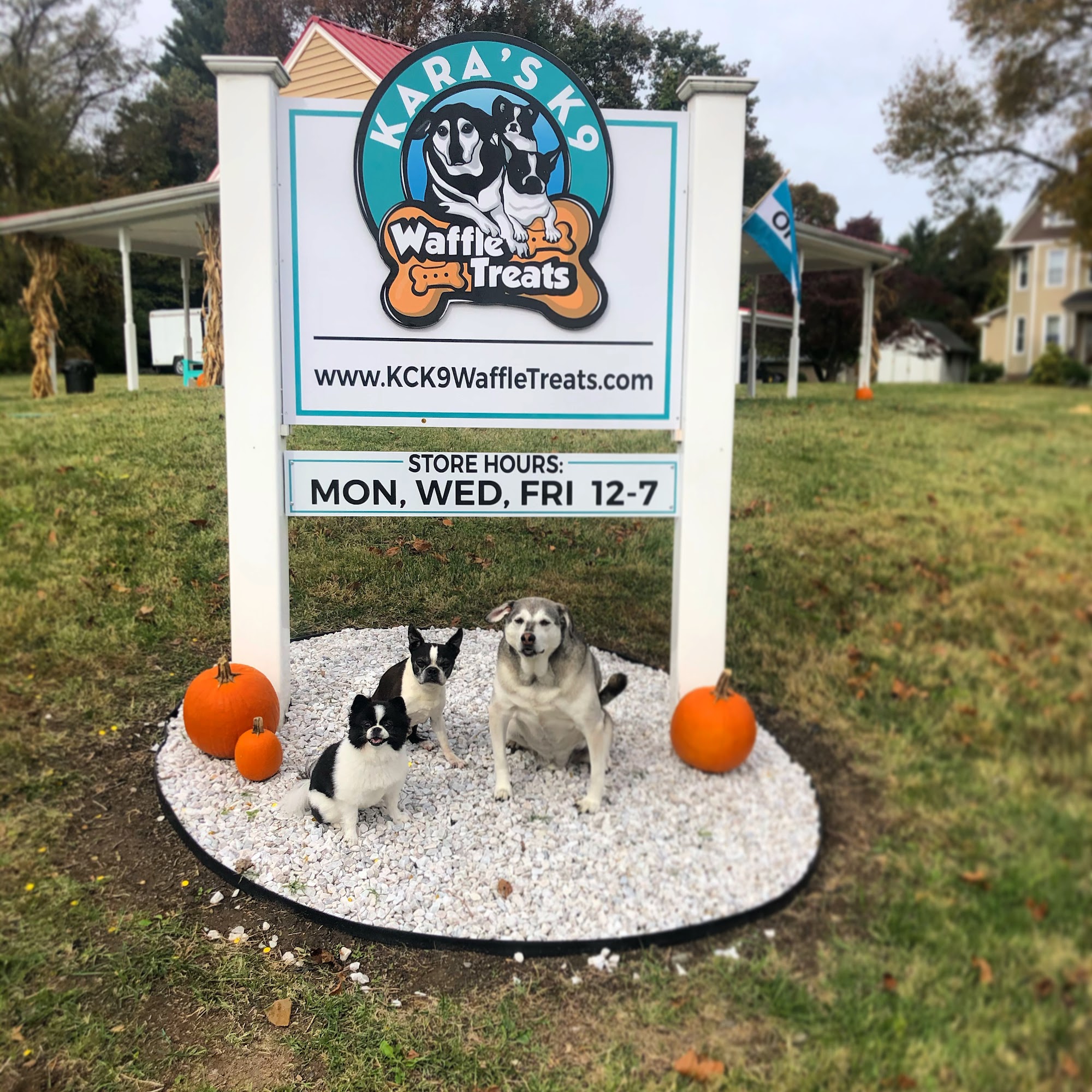 Kara’s K9 Waffle Treats Whiteford