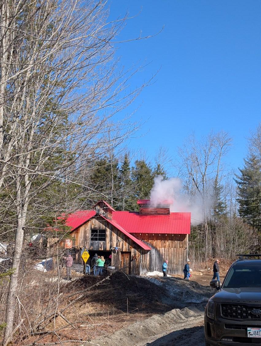 Luces Pure Maple Syrup Anson