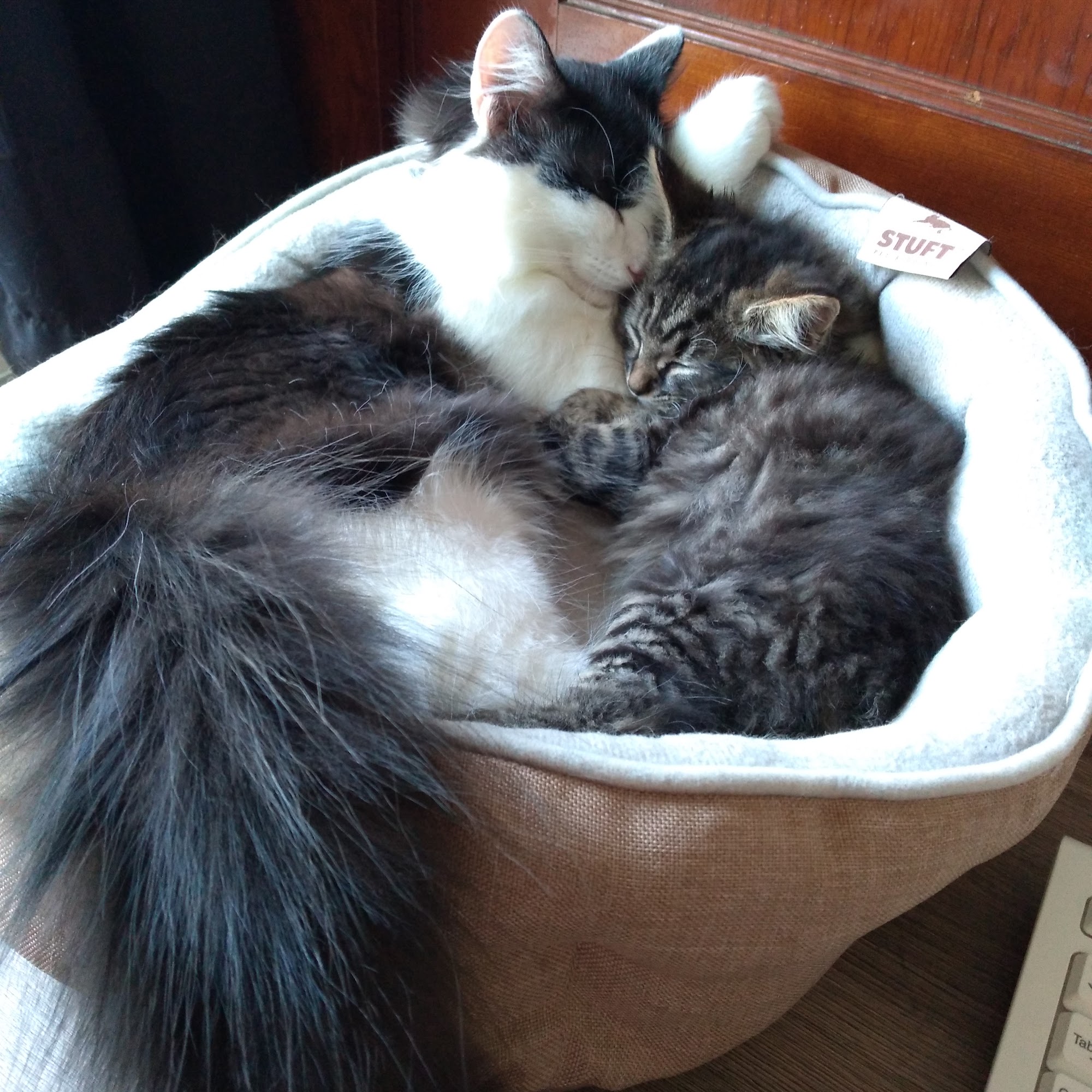 York County Veterinary Hospital Arundel