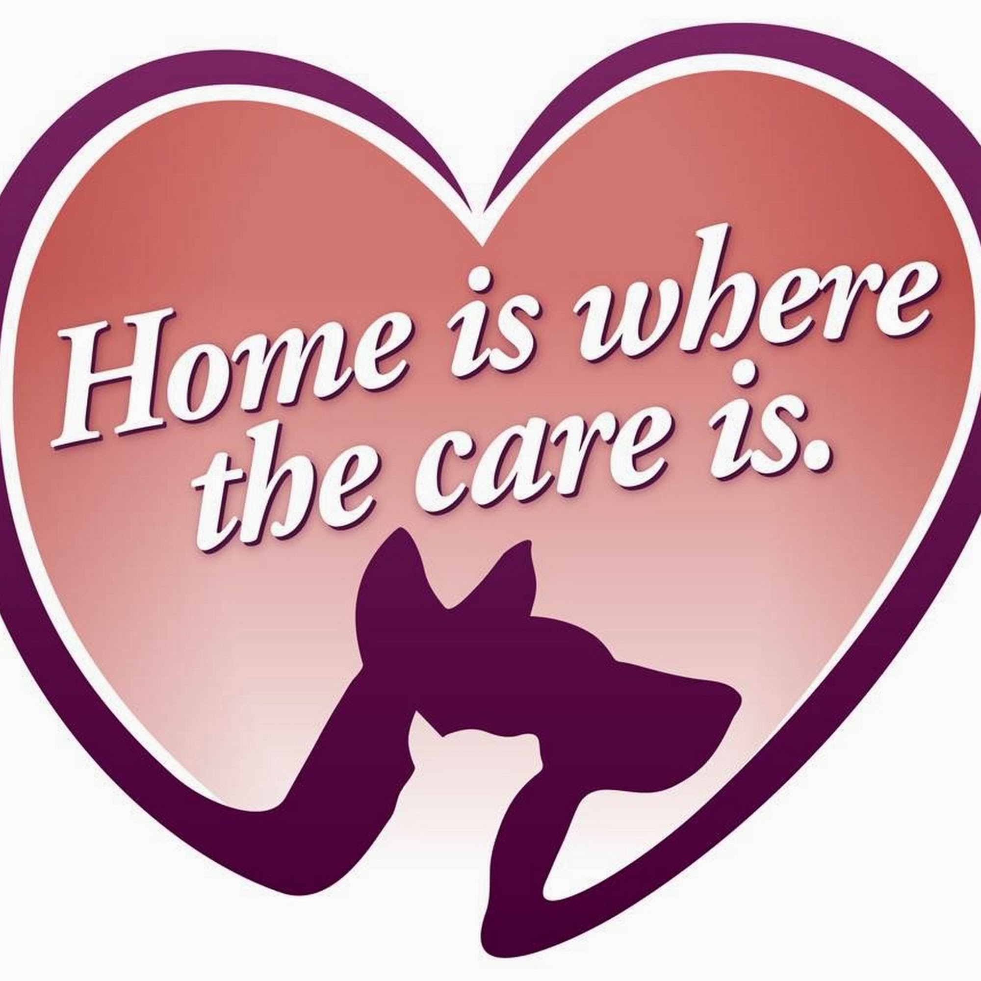 Tori Weston Housecall Veterinarian Bangor