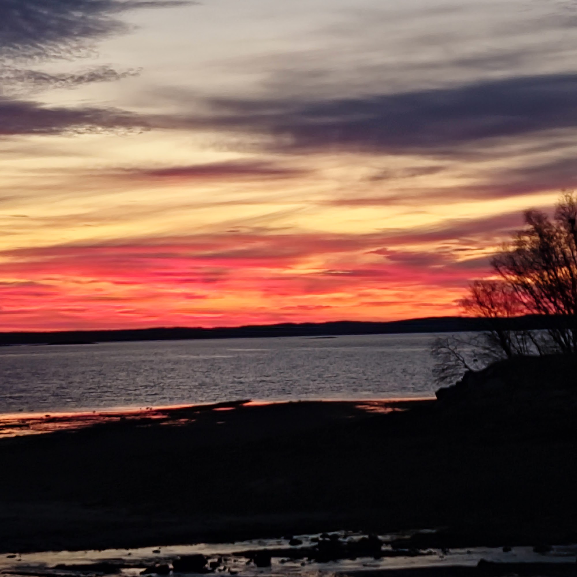 A Slice of Eden Bar Harbor