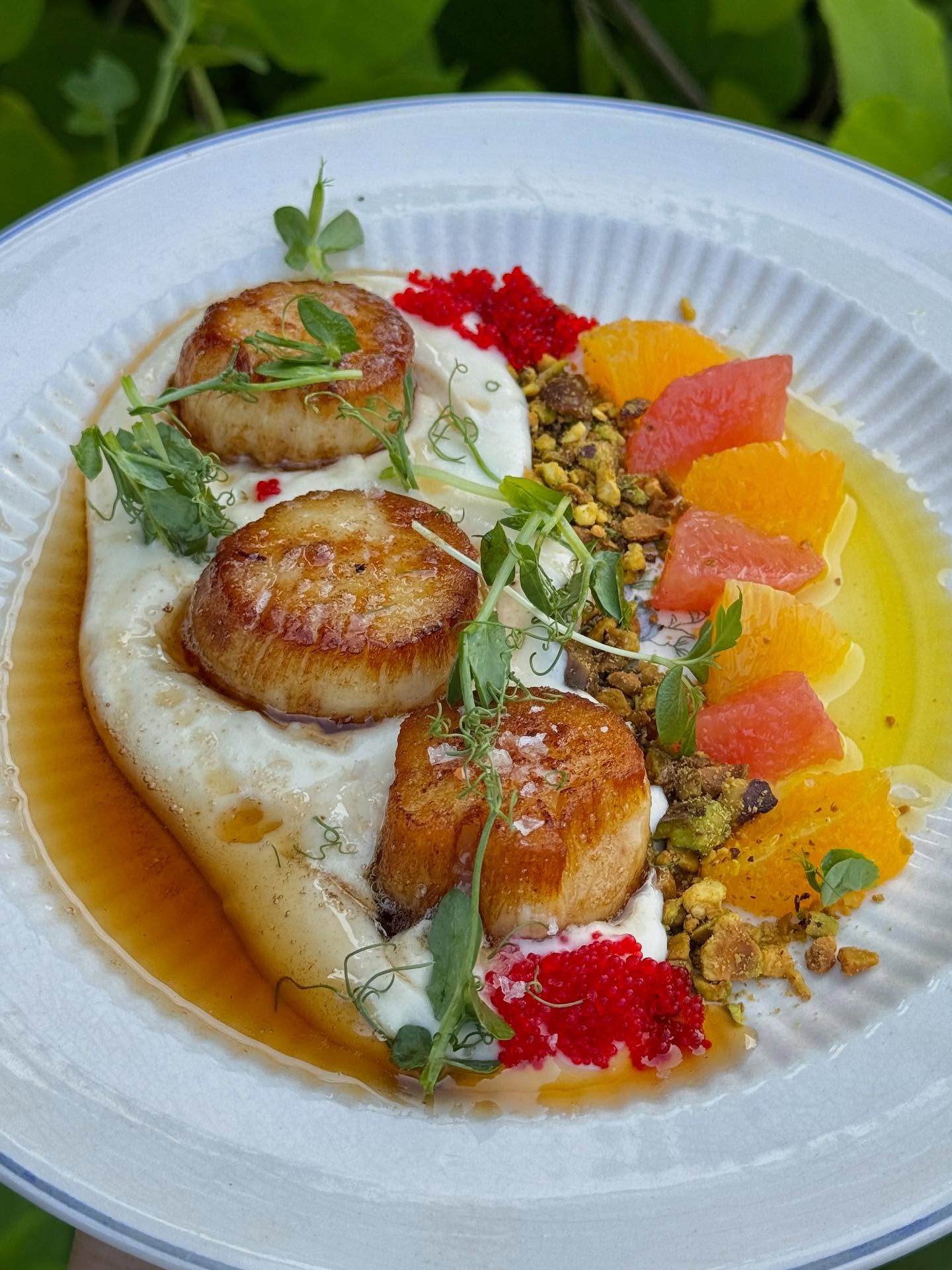 Project Social Kitchen & Bar Bar Harbor