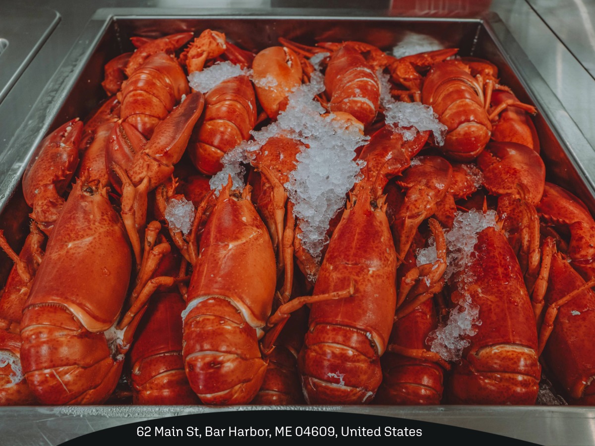 The Stadium, Bar Harbor - Lobster Rolls, Popovers,Coffee Bar Harbor