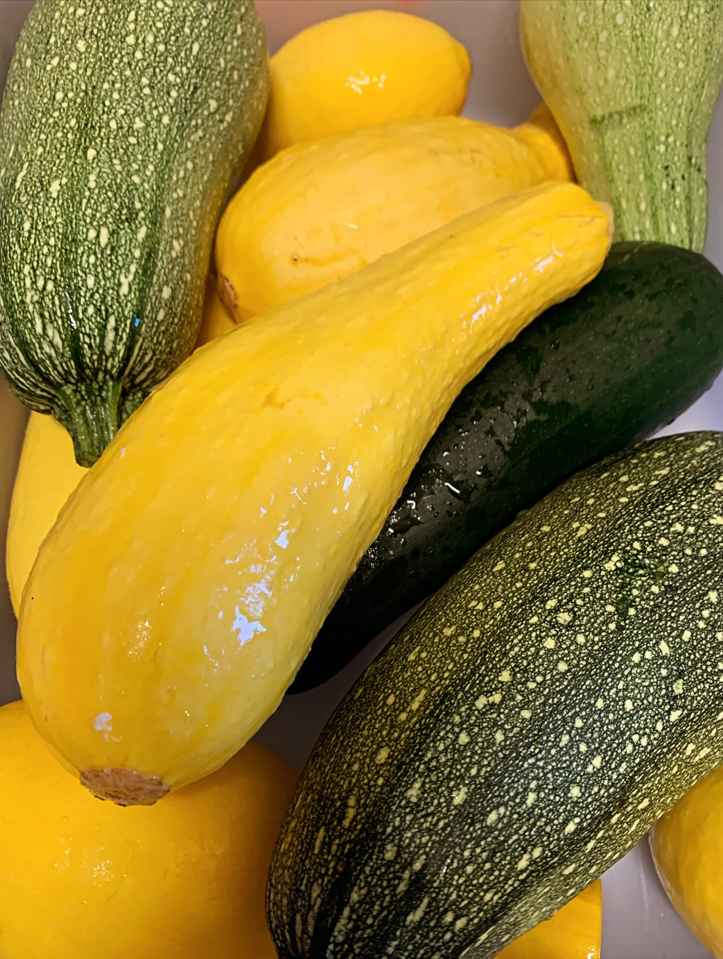 Sweet Pea's Farm Kitchen Bar Harbor