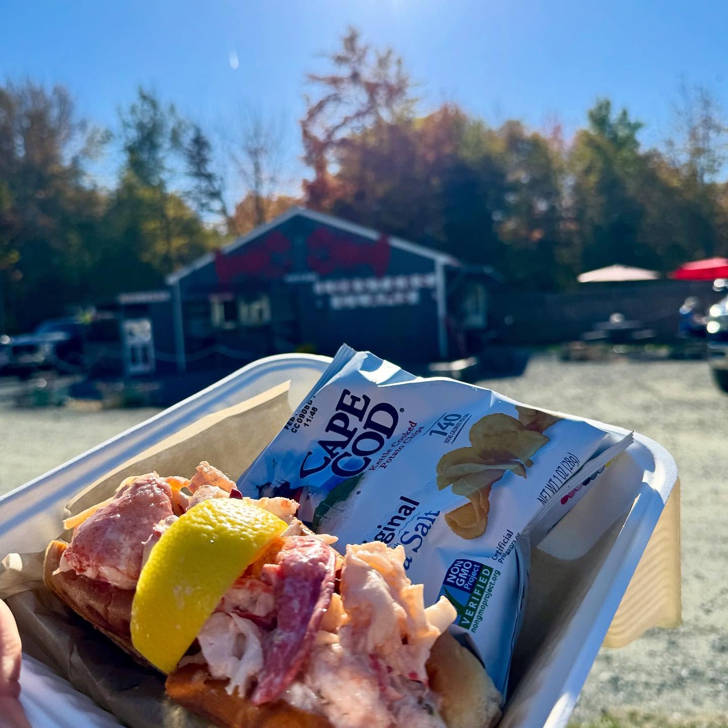 C-Ray Lobster Bar Harbor