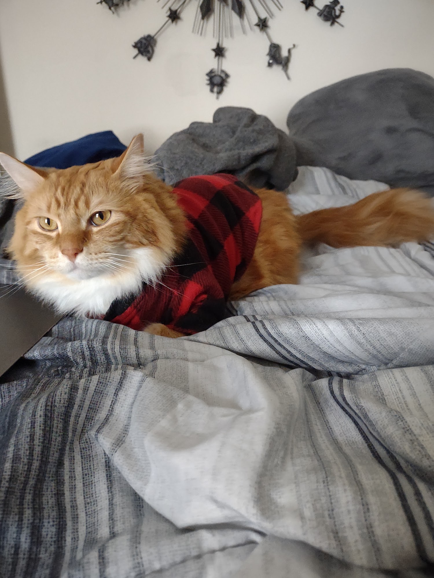 VCA Bath Animal Hospital Bath