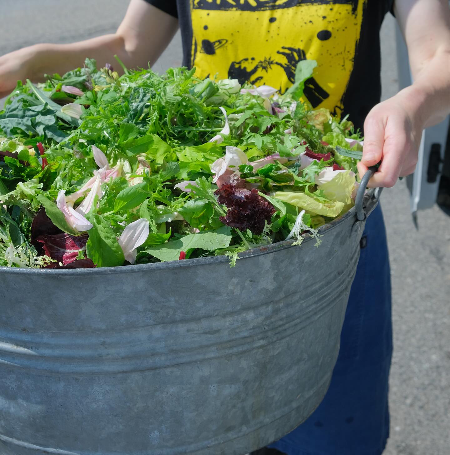 Chase's Daily Belfast