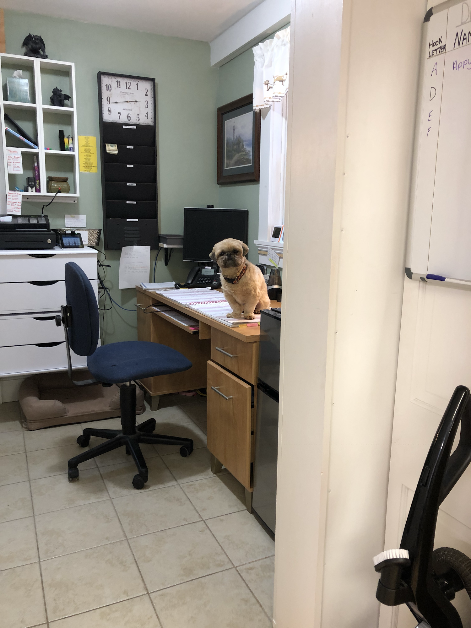 Paws & Claws Pet Spa and Grooming Belfast