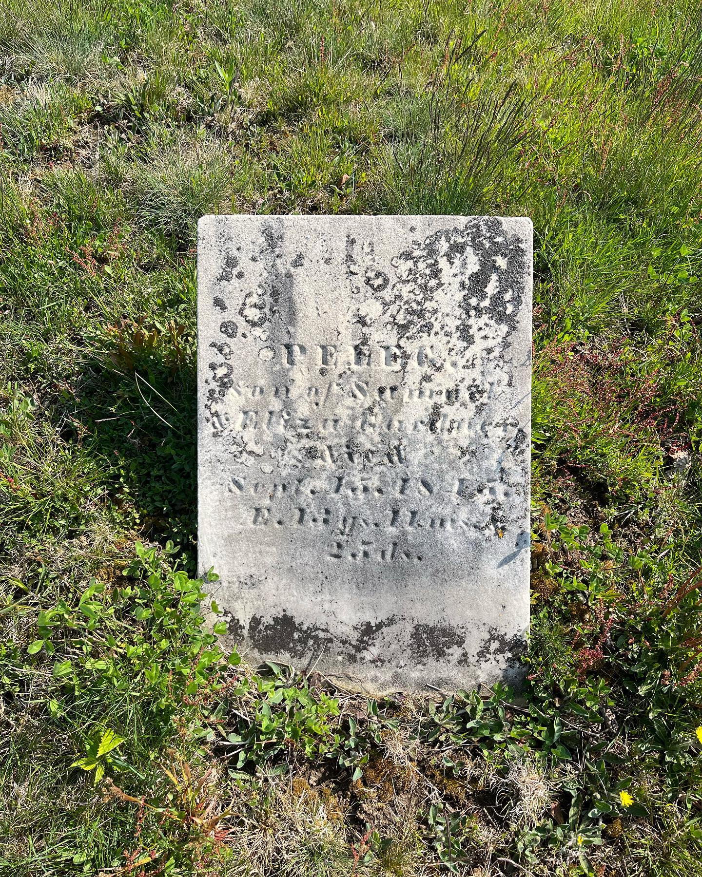 Belfast Auto Transport