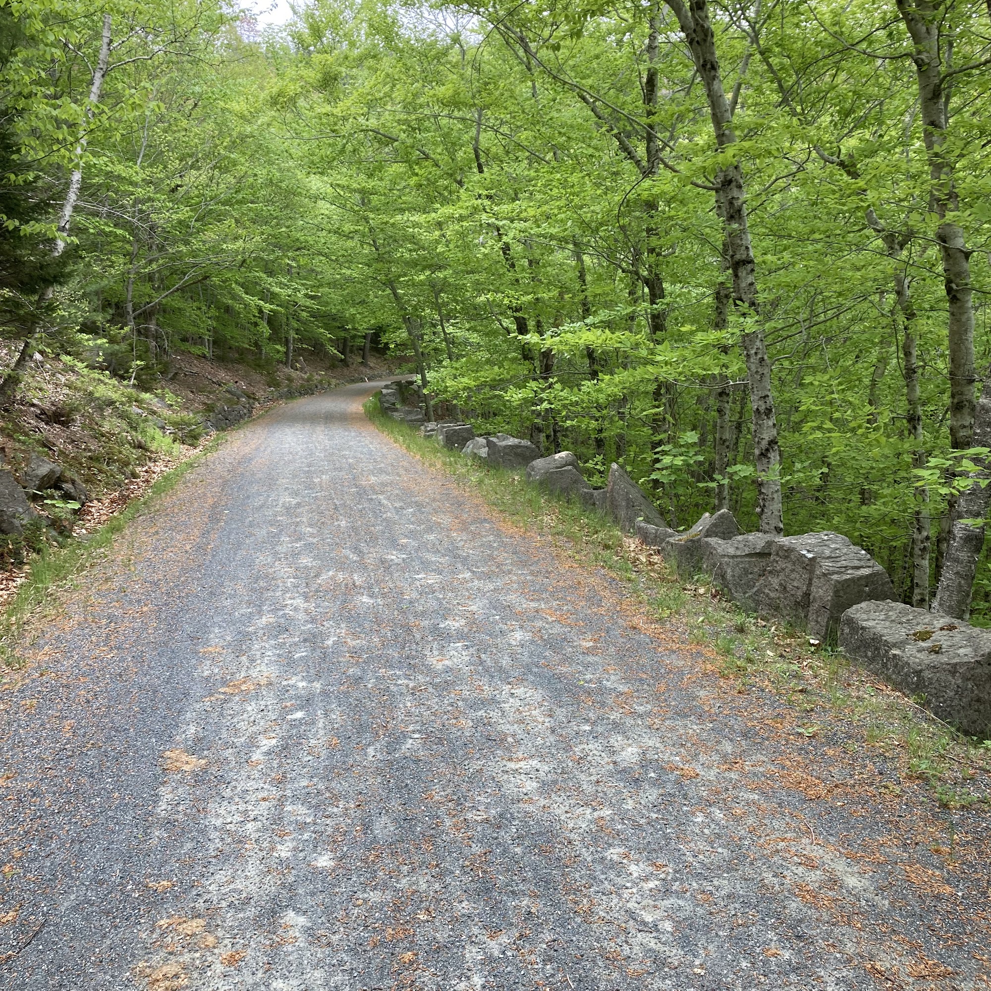 Neuromuscular Massage Therapy of Maine LLC