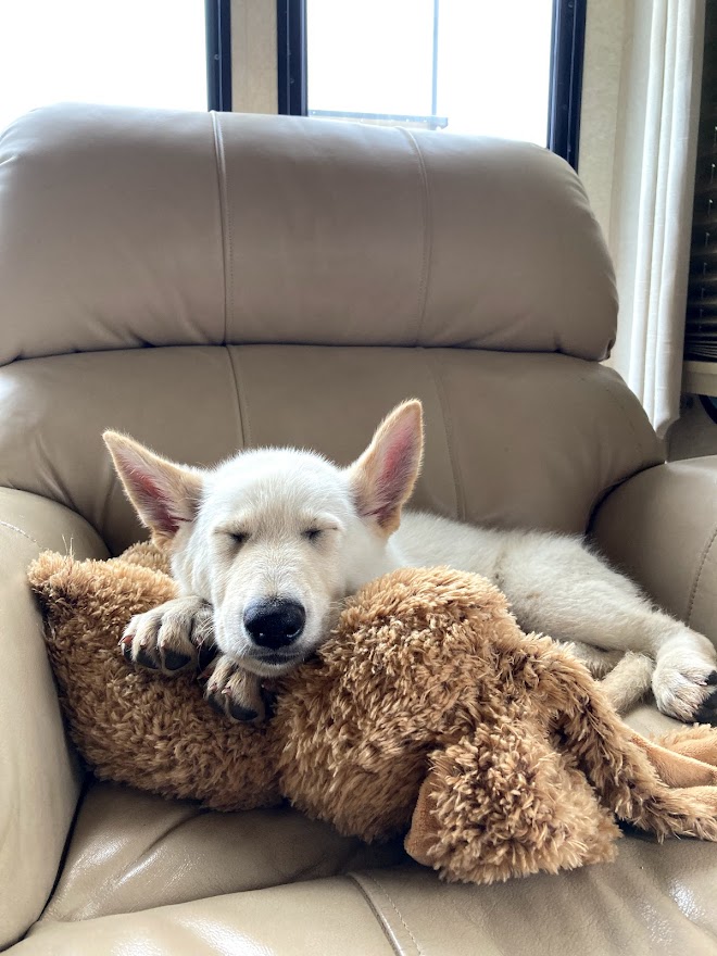 Neuromuscular Massage Therapy of Maine LLC