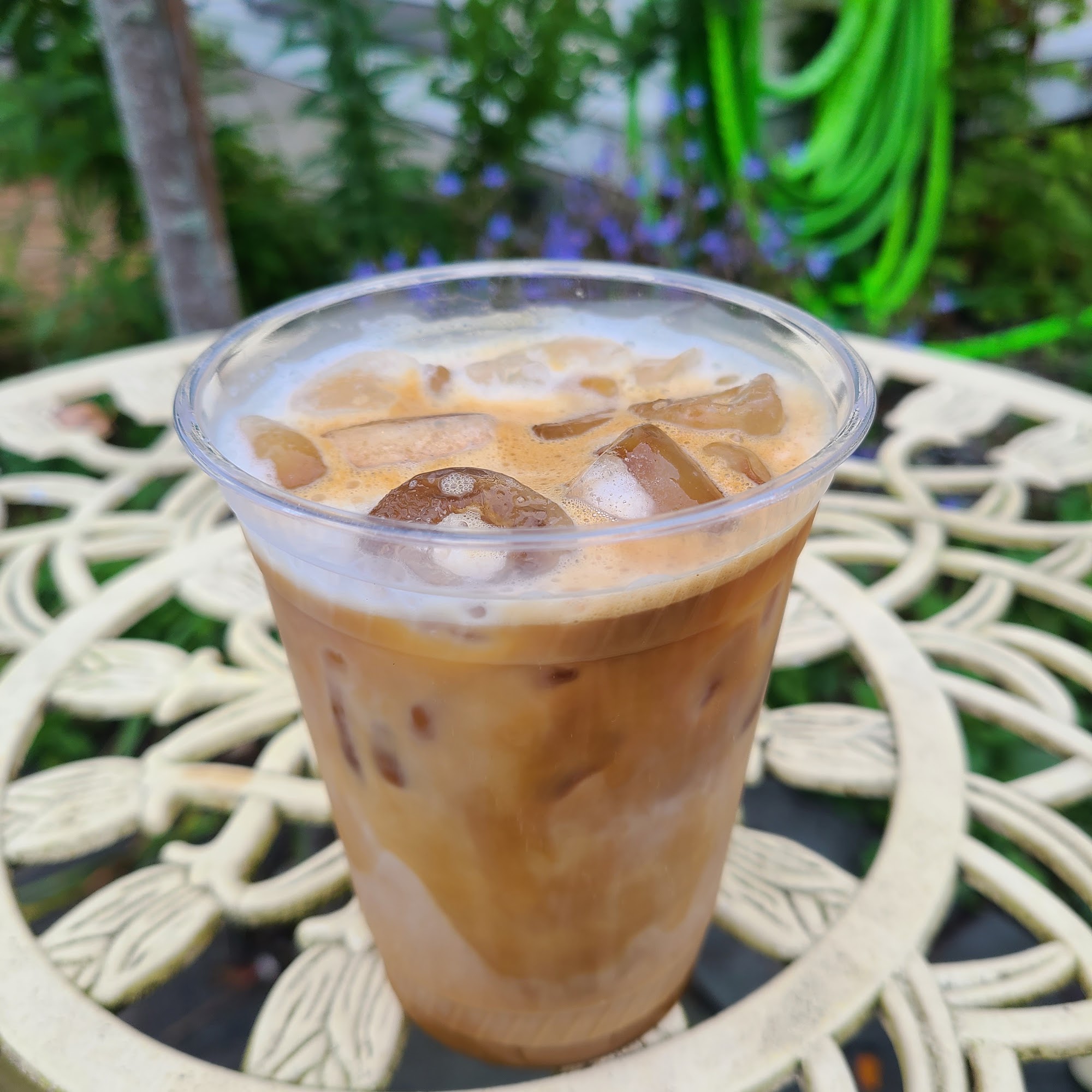 Bucklyn Coffee Blue Hill