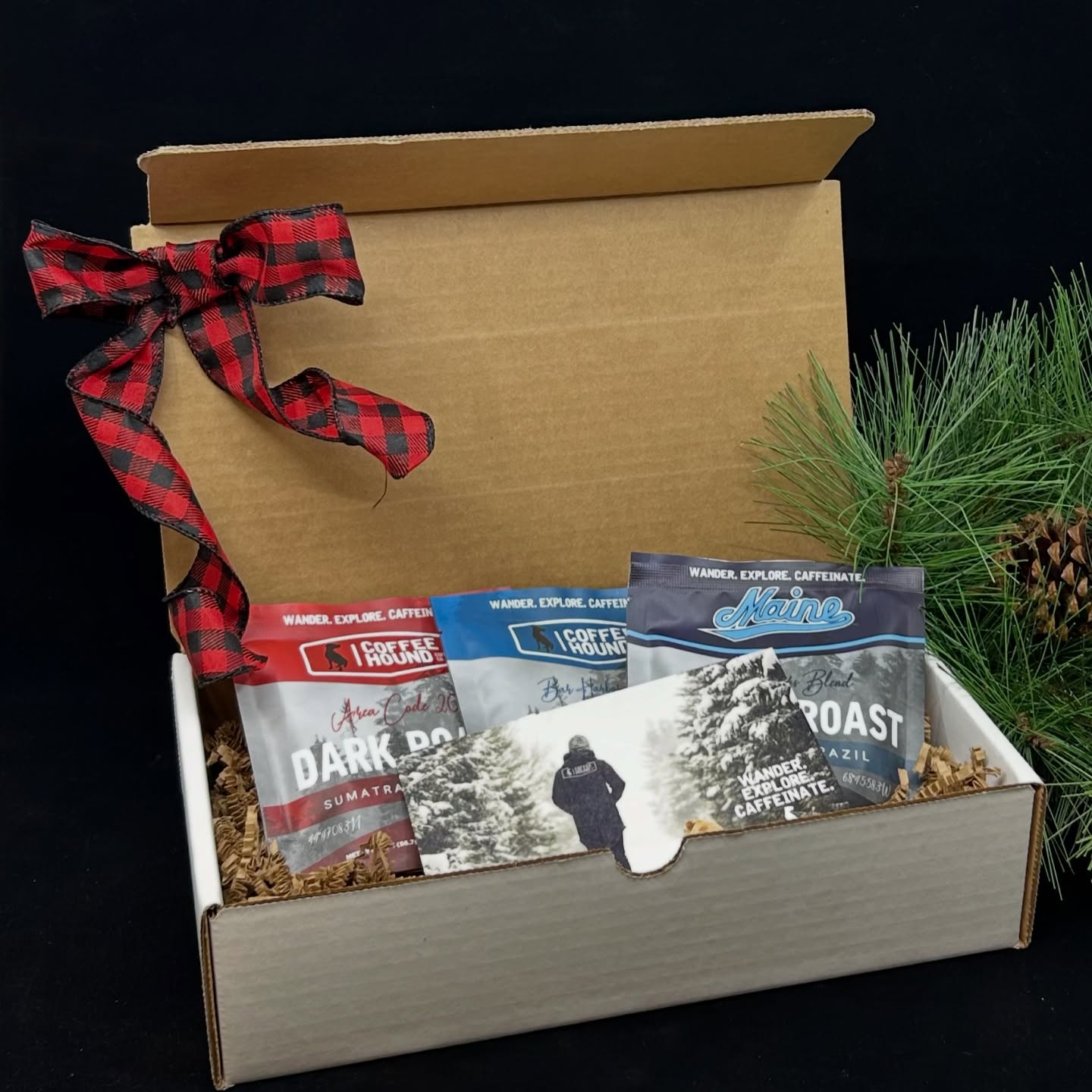 Coffee Hound Coffee Co. Roastery Brewer