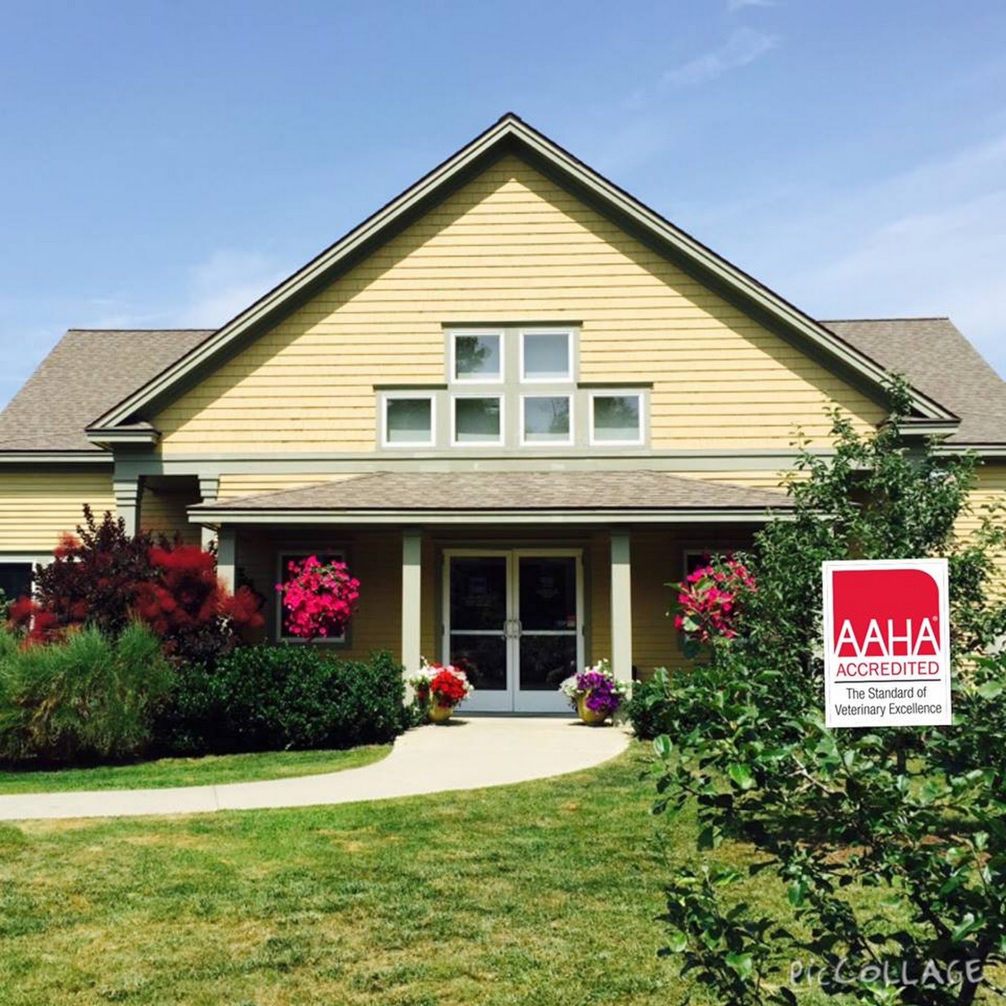 Lucerne Veterinary Hospital Brewer