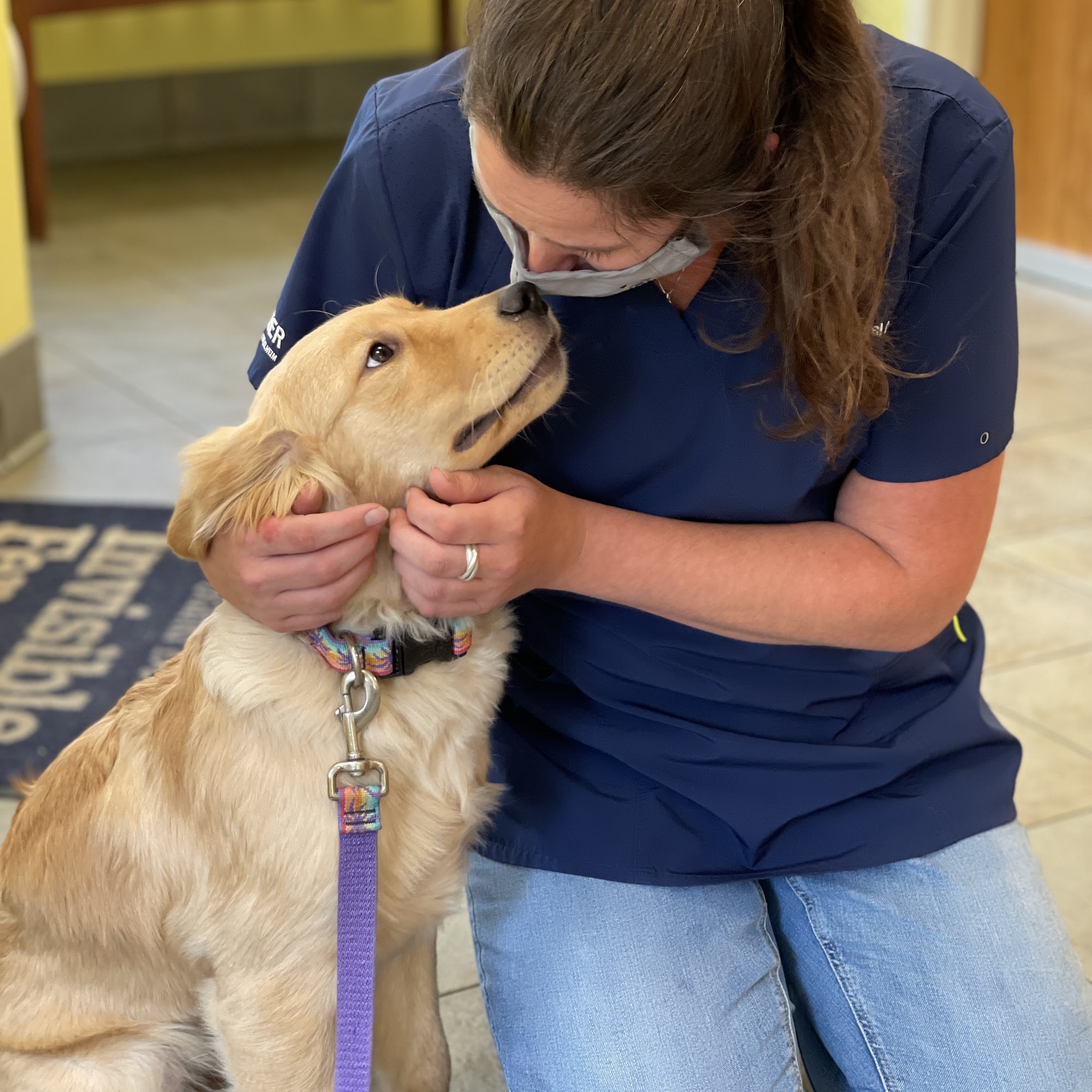Sunray Animal Clinic Brunswick