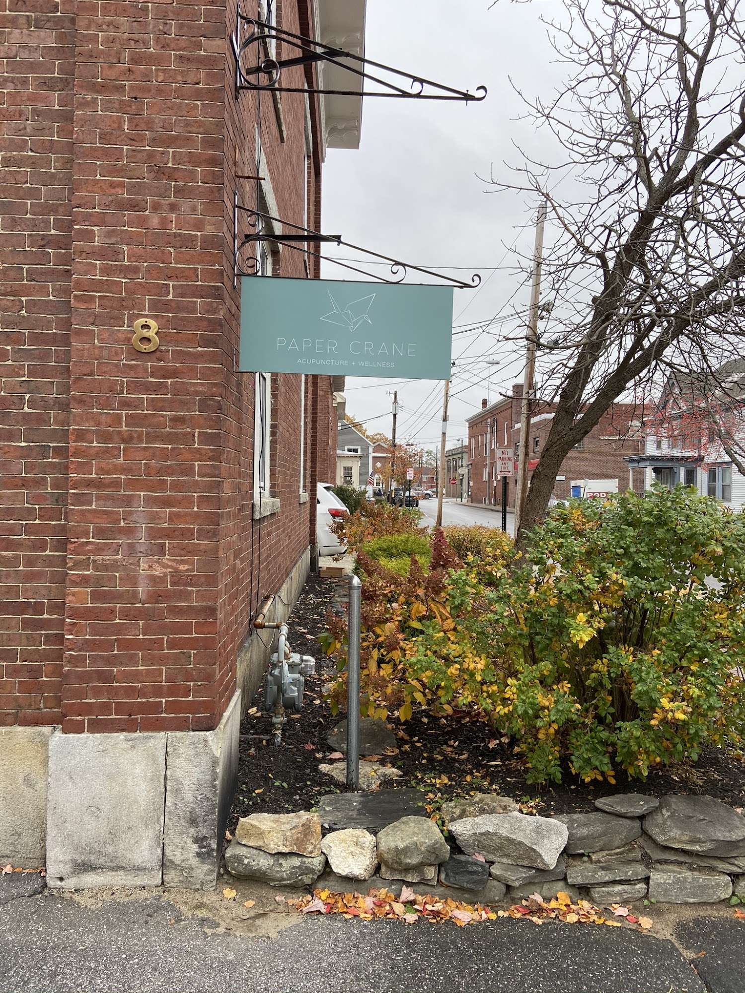 Paper Crane Acupuncture